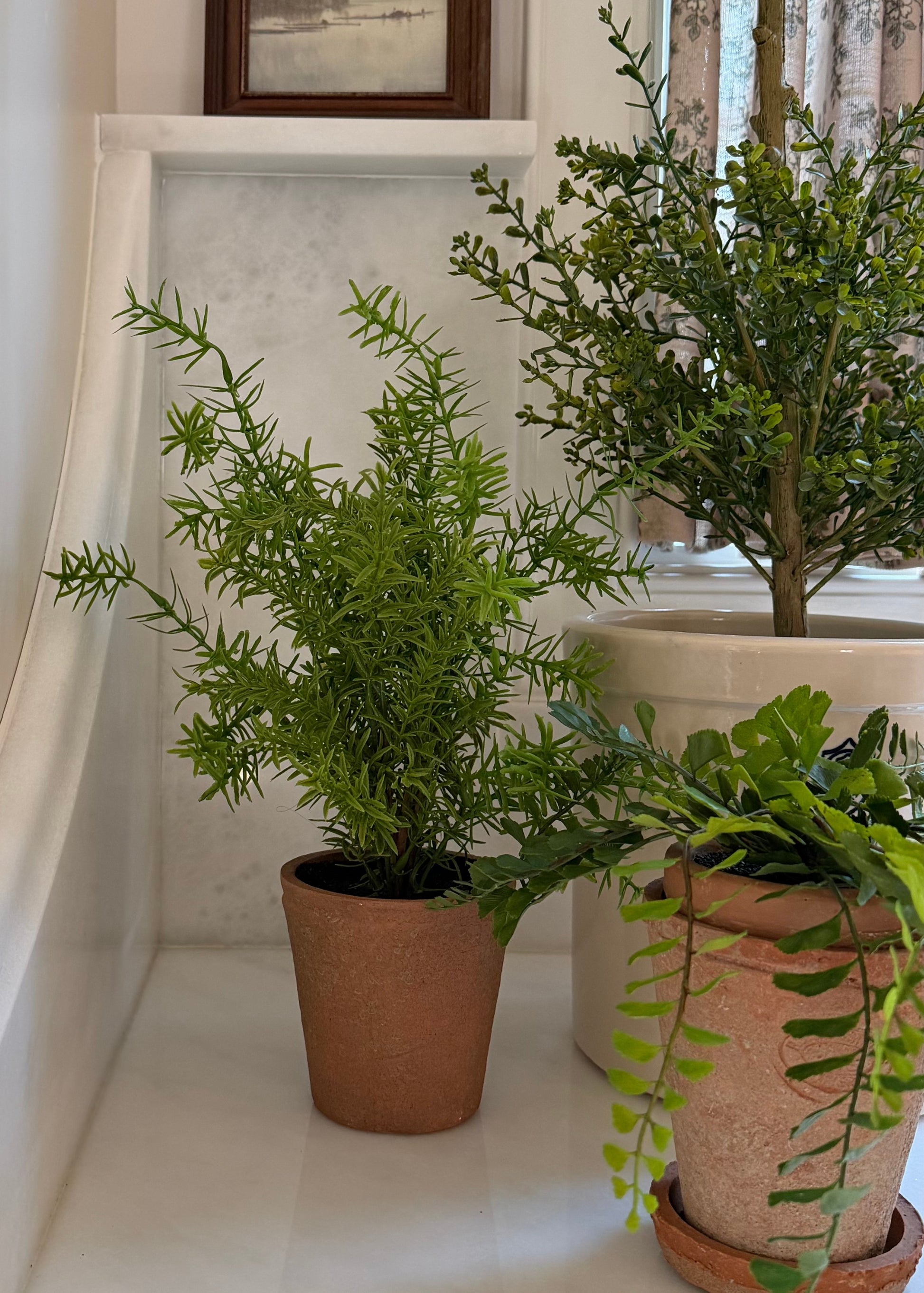 Artificial Potted Rosemary Herb Plant on a Kitchen Counter
