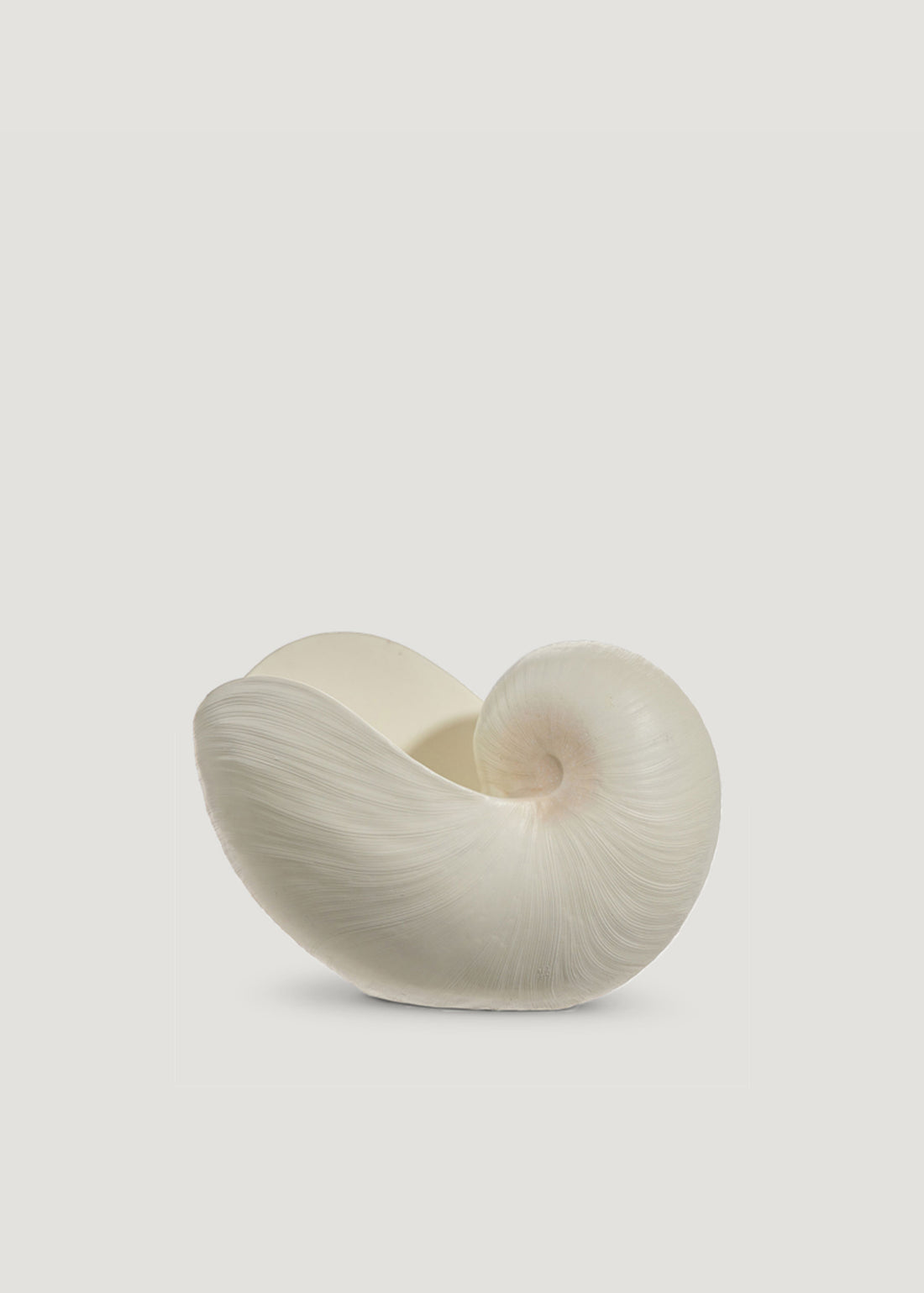 Resin Shell Accent Decor