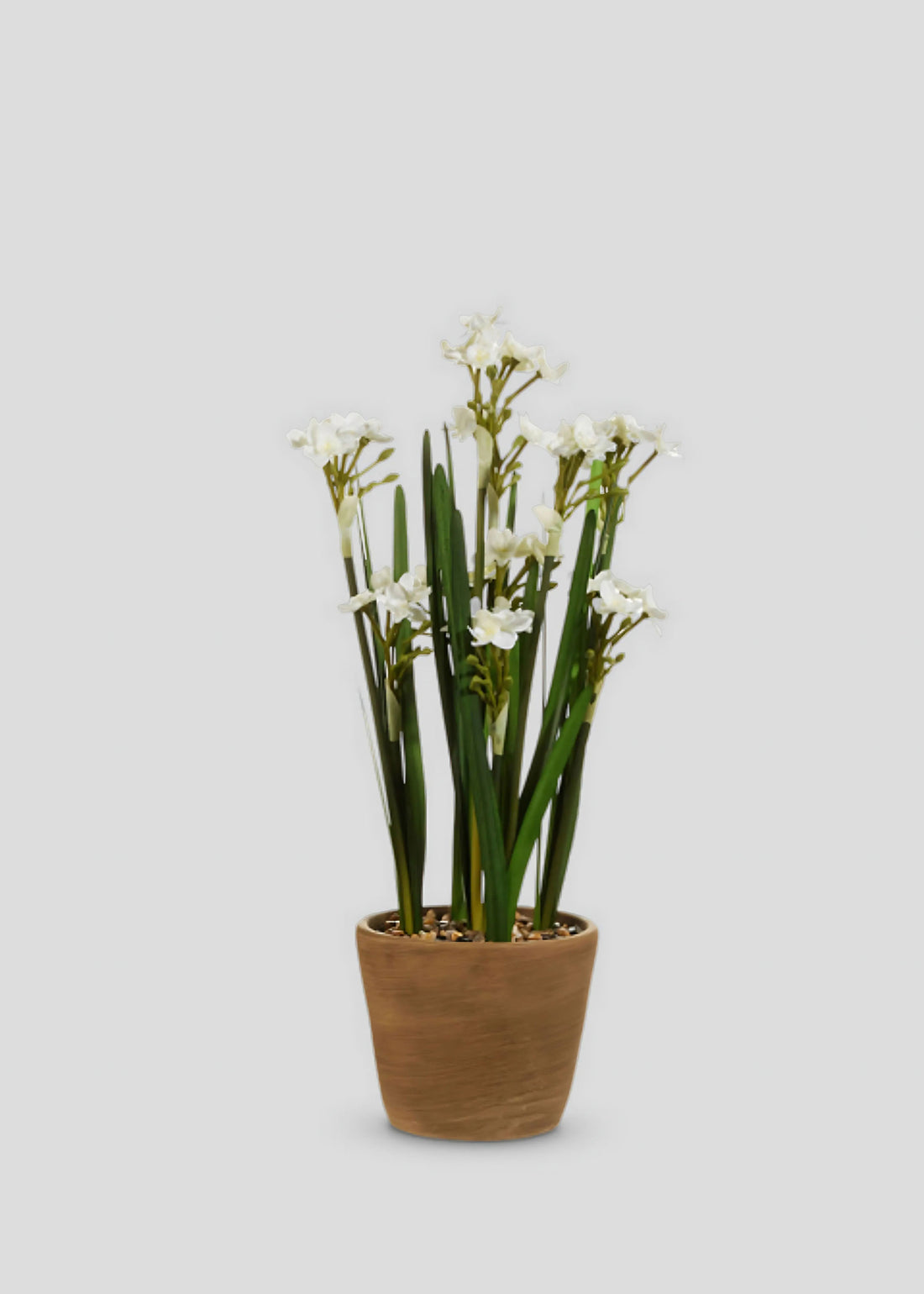 Fake Potted Paperwhite Flower Arrangement 