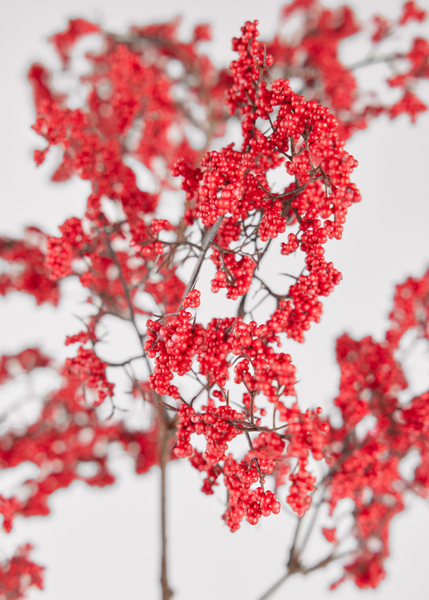 Faux Branches Winter Red Berry Branch in Closeup View