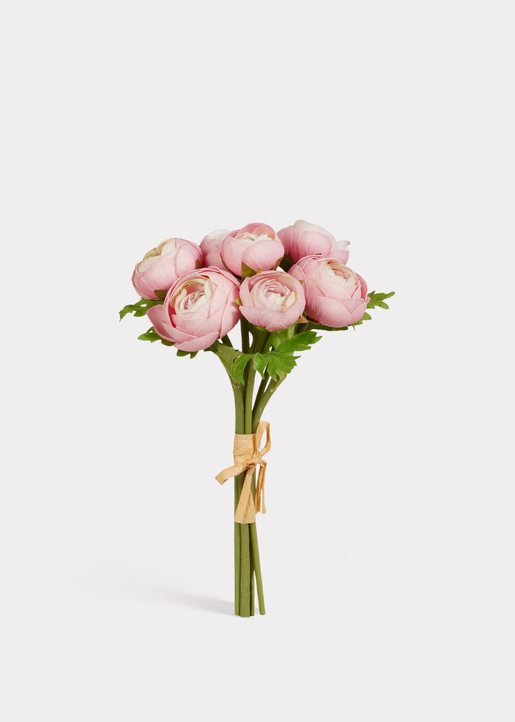 Bundle of 7 Light Pink Soft Touch Ranunculus 