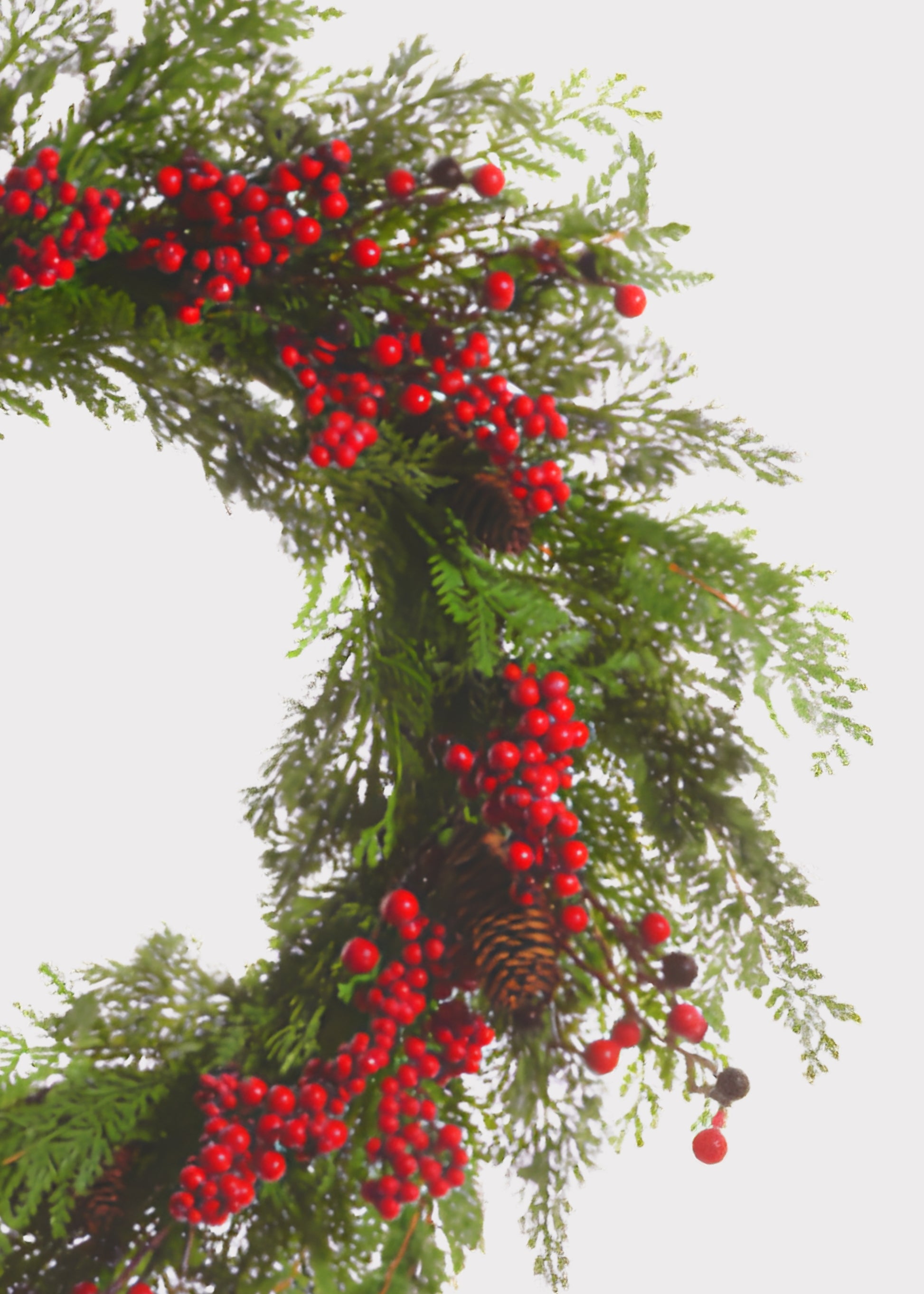 Close-up of cedar wreath with red berries