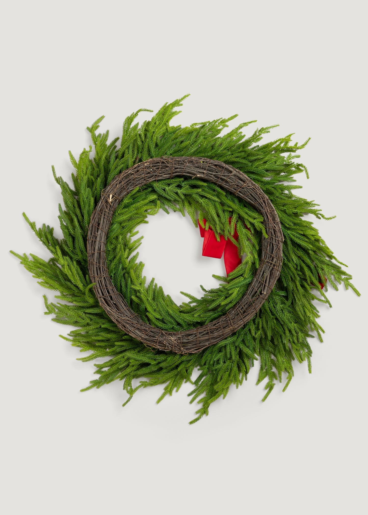 Back of the 30&quot; Norfolk Pine Wreath