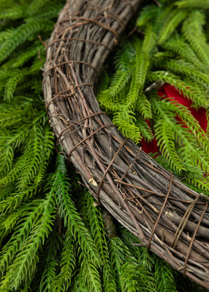 Grapevine Wreath Base of the Norfolk Pine Wreath