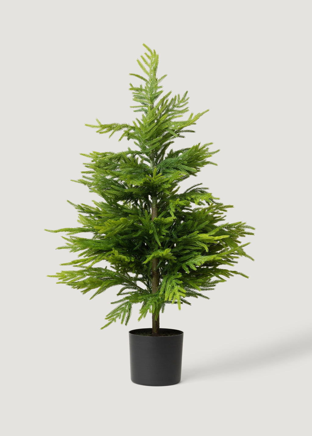 Afloral Fake Potted Norfolk Pine Tree 