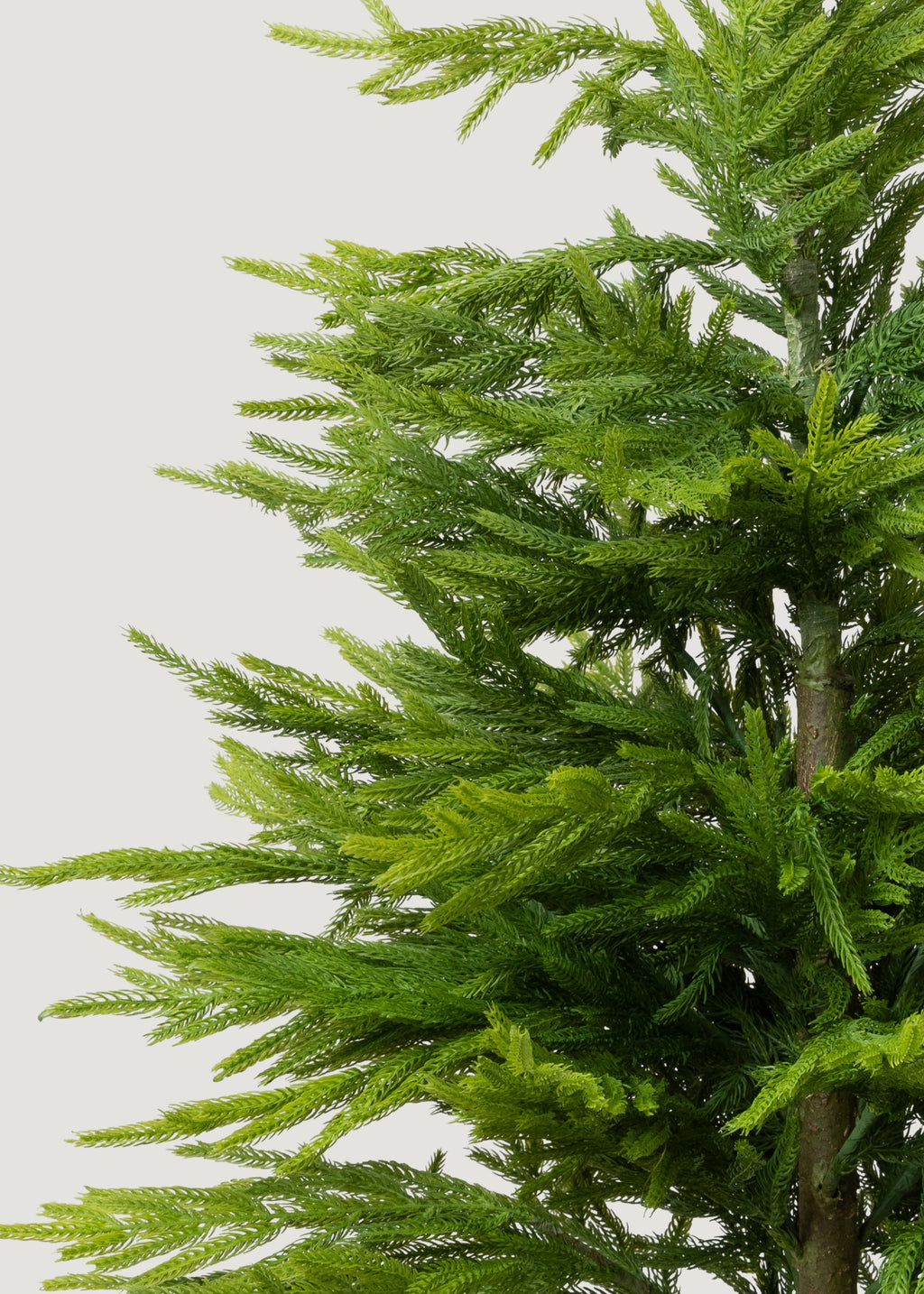 Real Touch Norfolk Pine Christmas Tree