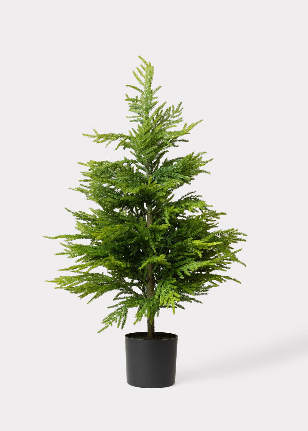 Afloral Fake Potted Norfolk Pine Tree 