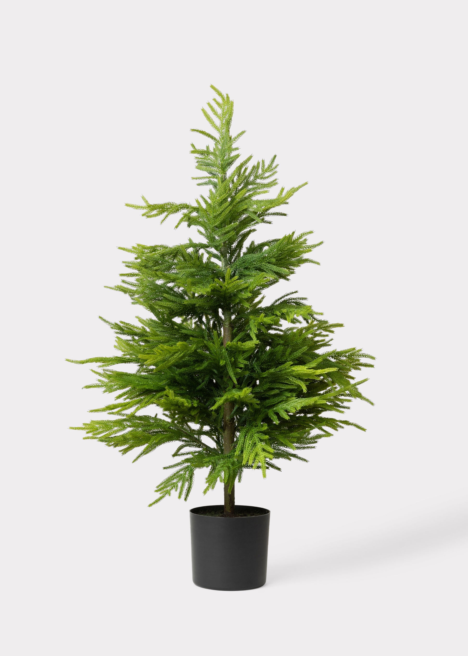 Afloral Fake Potted Norfolk Pine Tree 