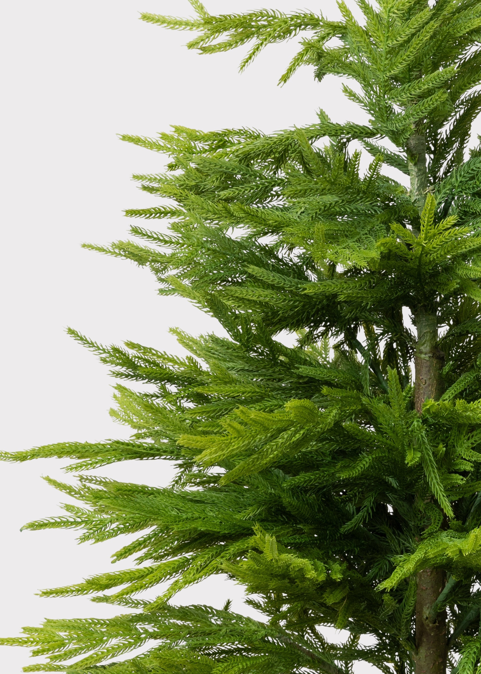 Real Touch Norfolk Pine Christmas Tree