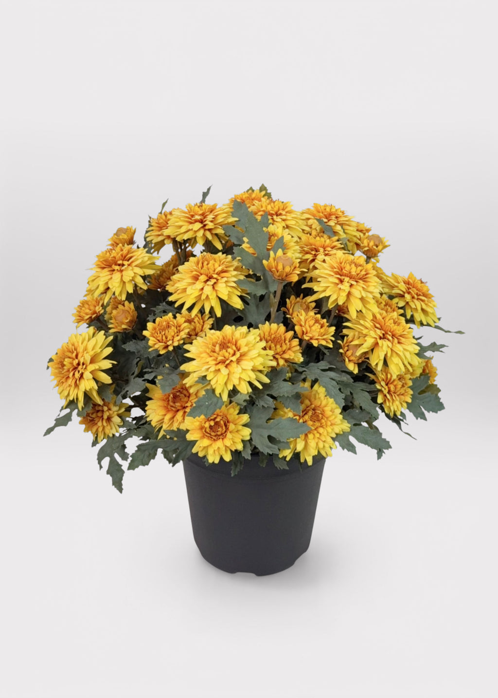 UV Treated Indoor/Outdoor Potted Fake Fall Yellow Mums 
