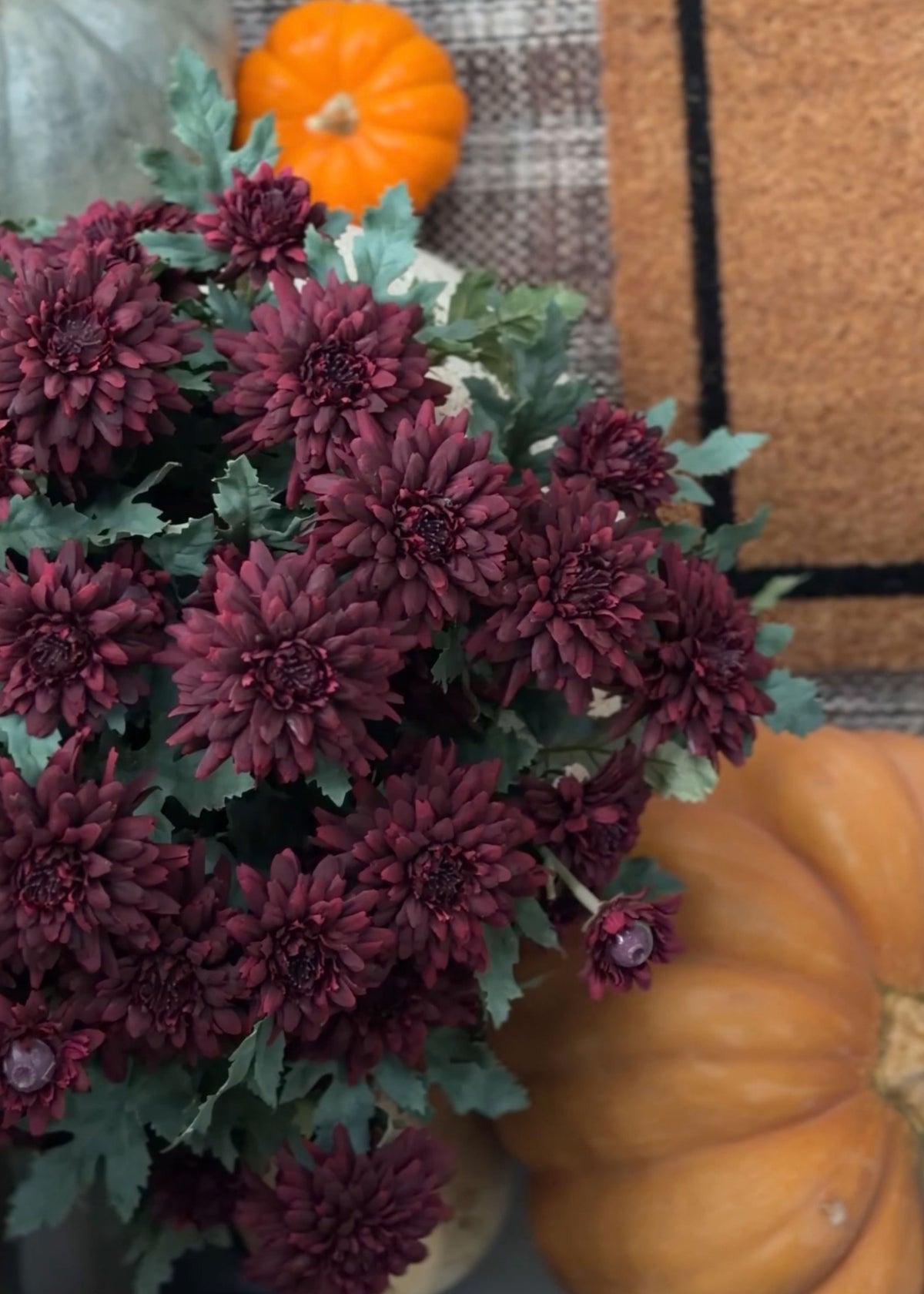Mums in Merlot 
