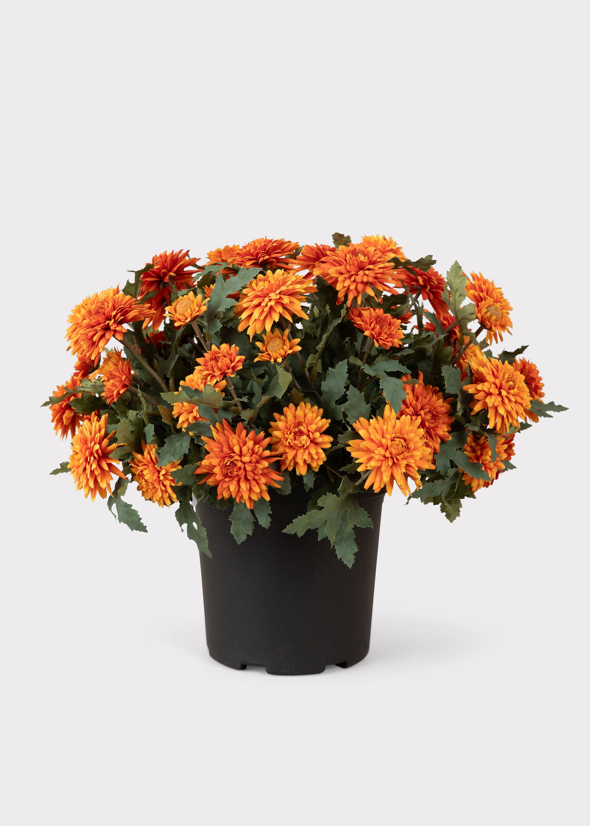 UV Treated Indoor/Outdoor Potted Fake Fall Orange Mum Flowers
