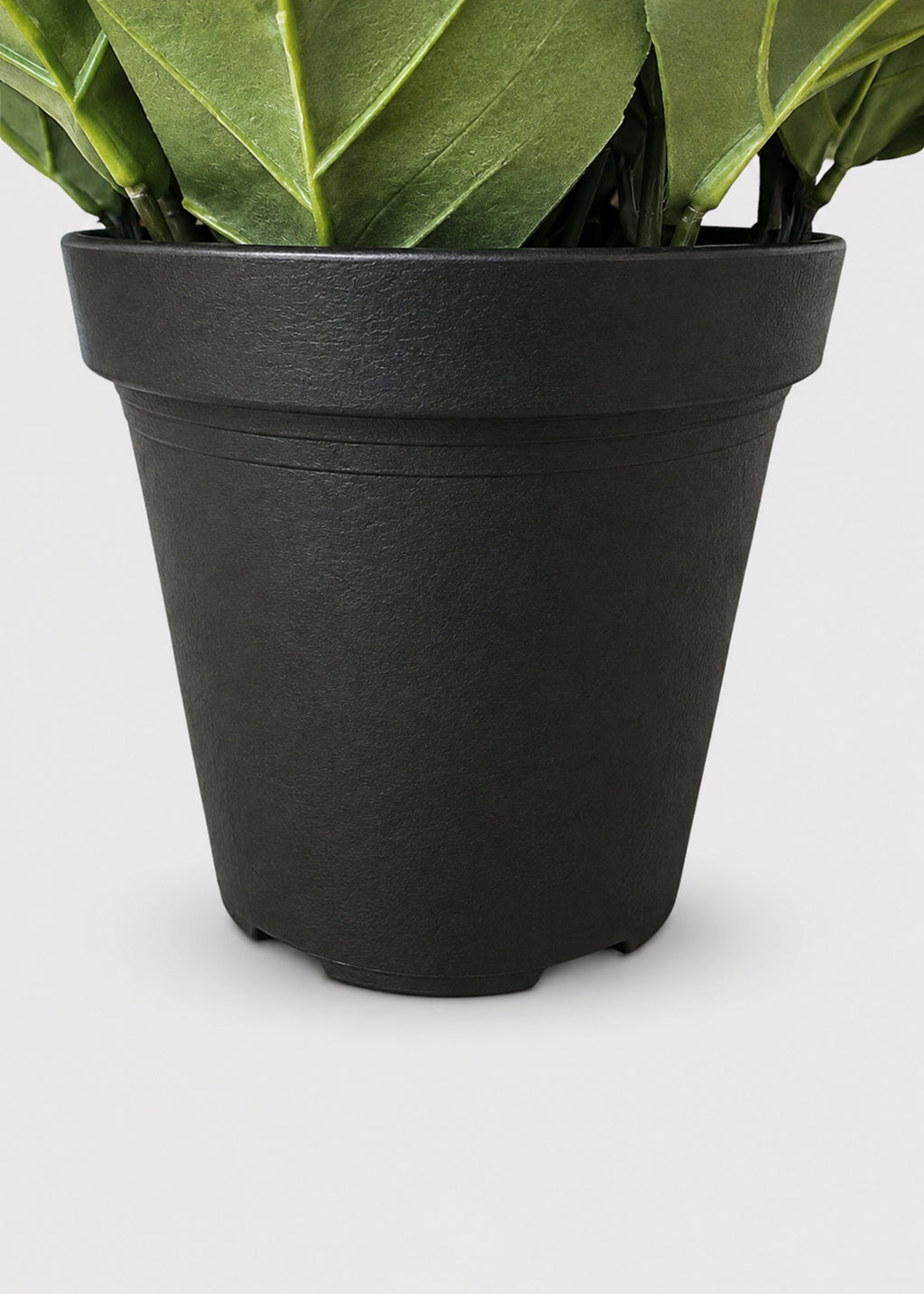 A black plastic nursery pot containing a green leafy plant, shown against a light gray background.