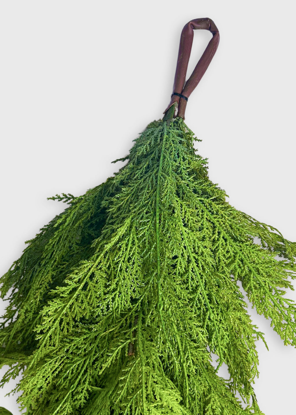 hanging loop for the Lebanon Cedar garland