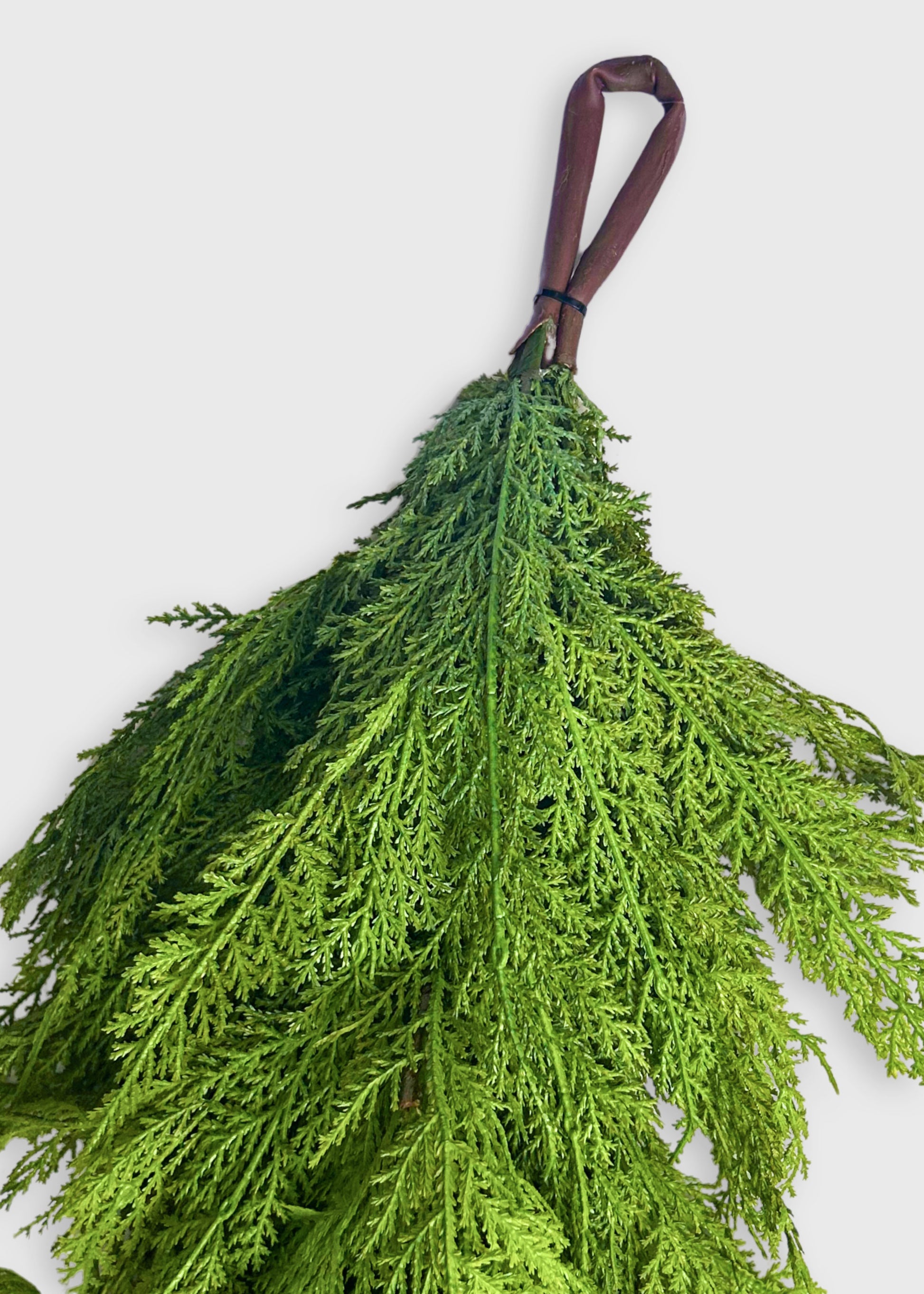 hanging loop for the Lebanon Cedar garland