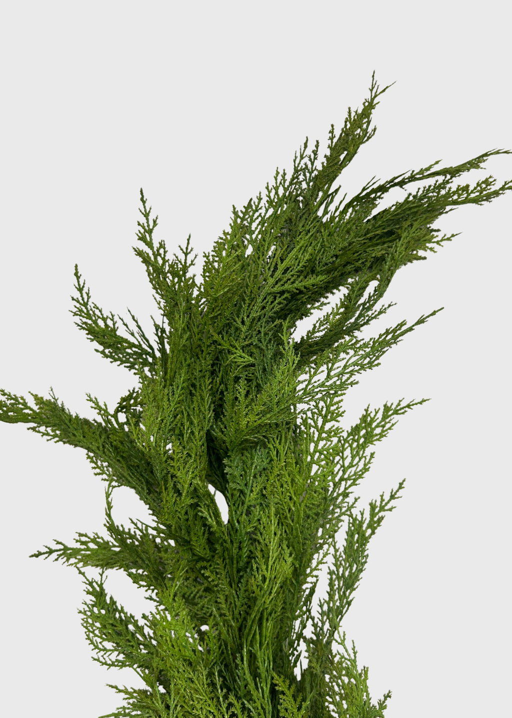 End of the deluxe Lebanon Cedar garland