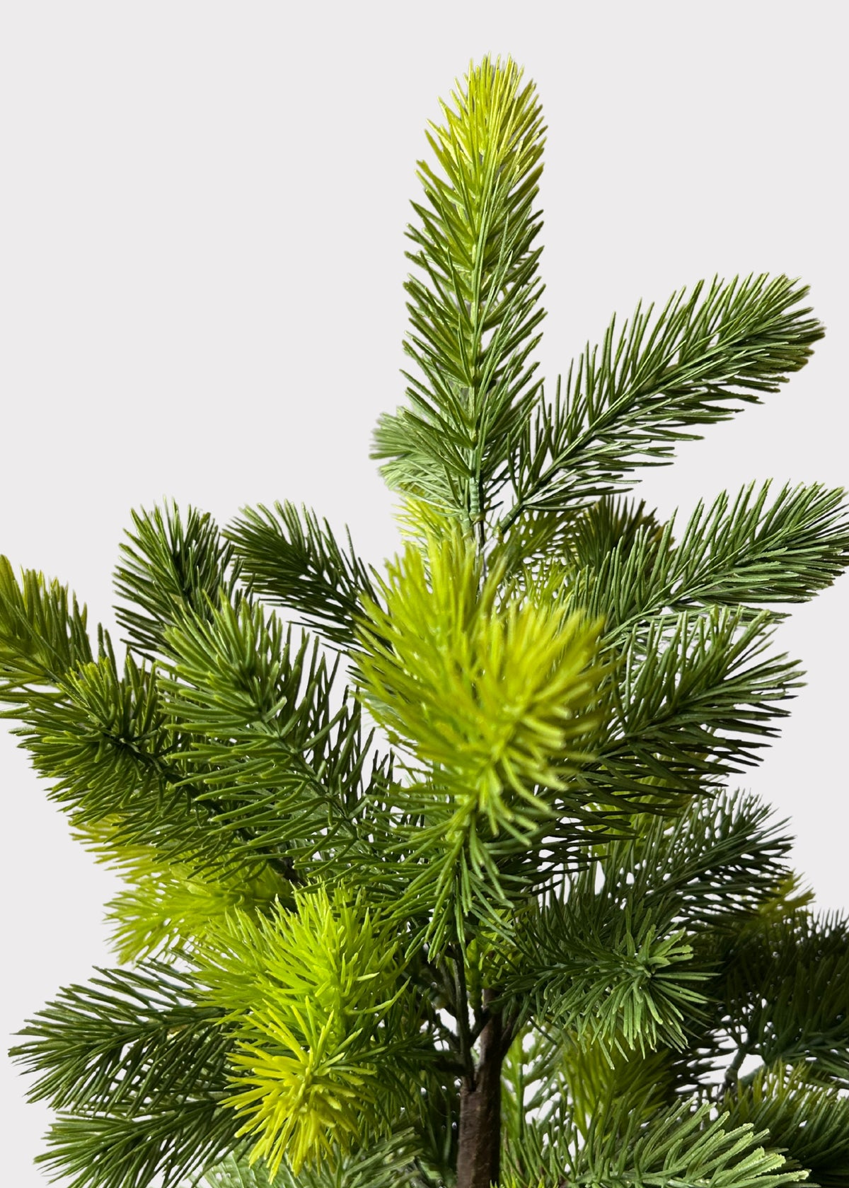 Close-up of a faux princess pine tree