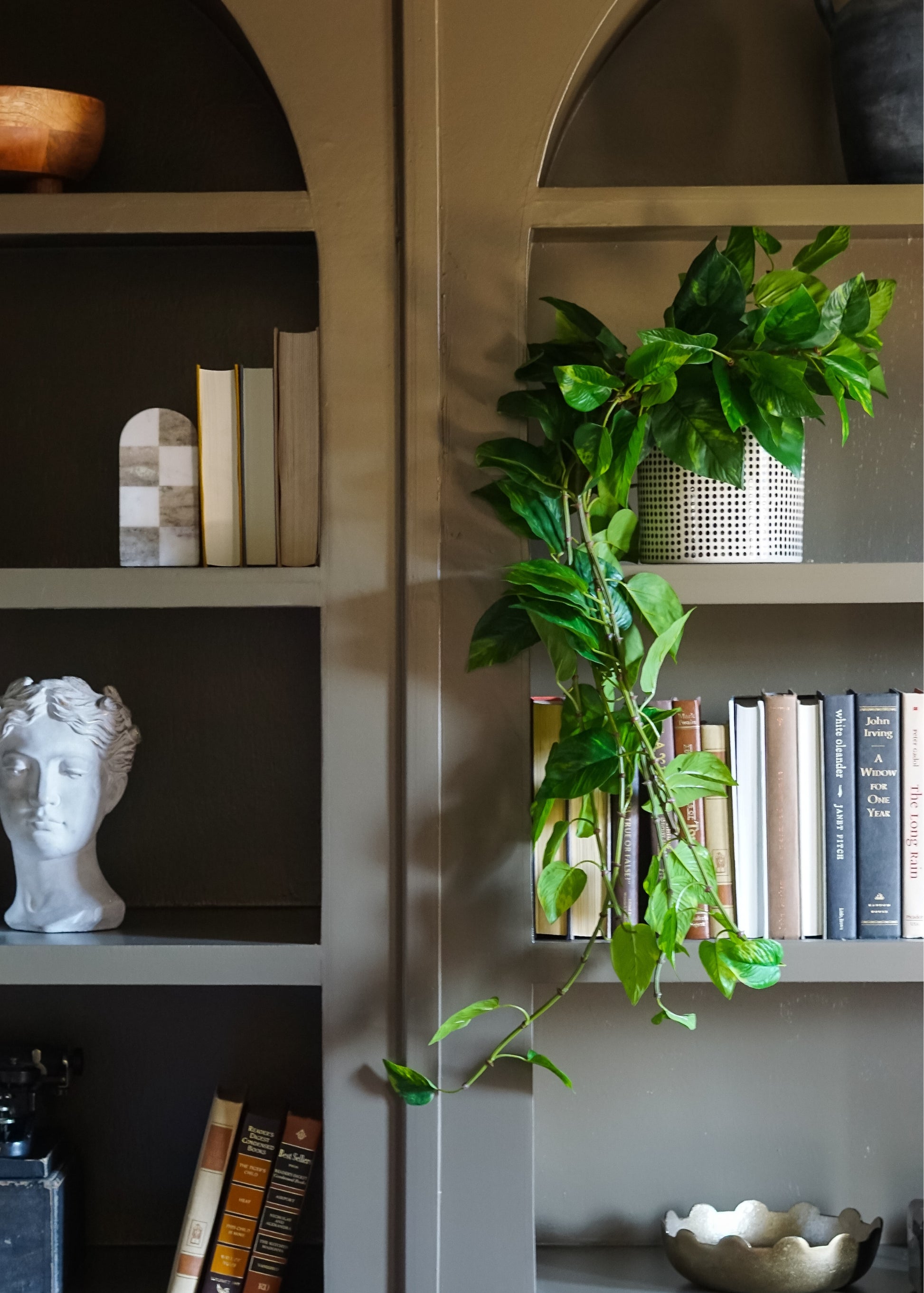 hanging pothos on shelves