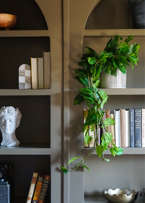 hanging pothos on shelves