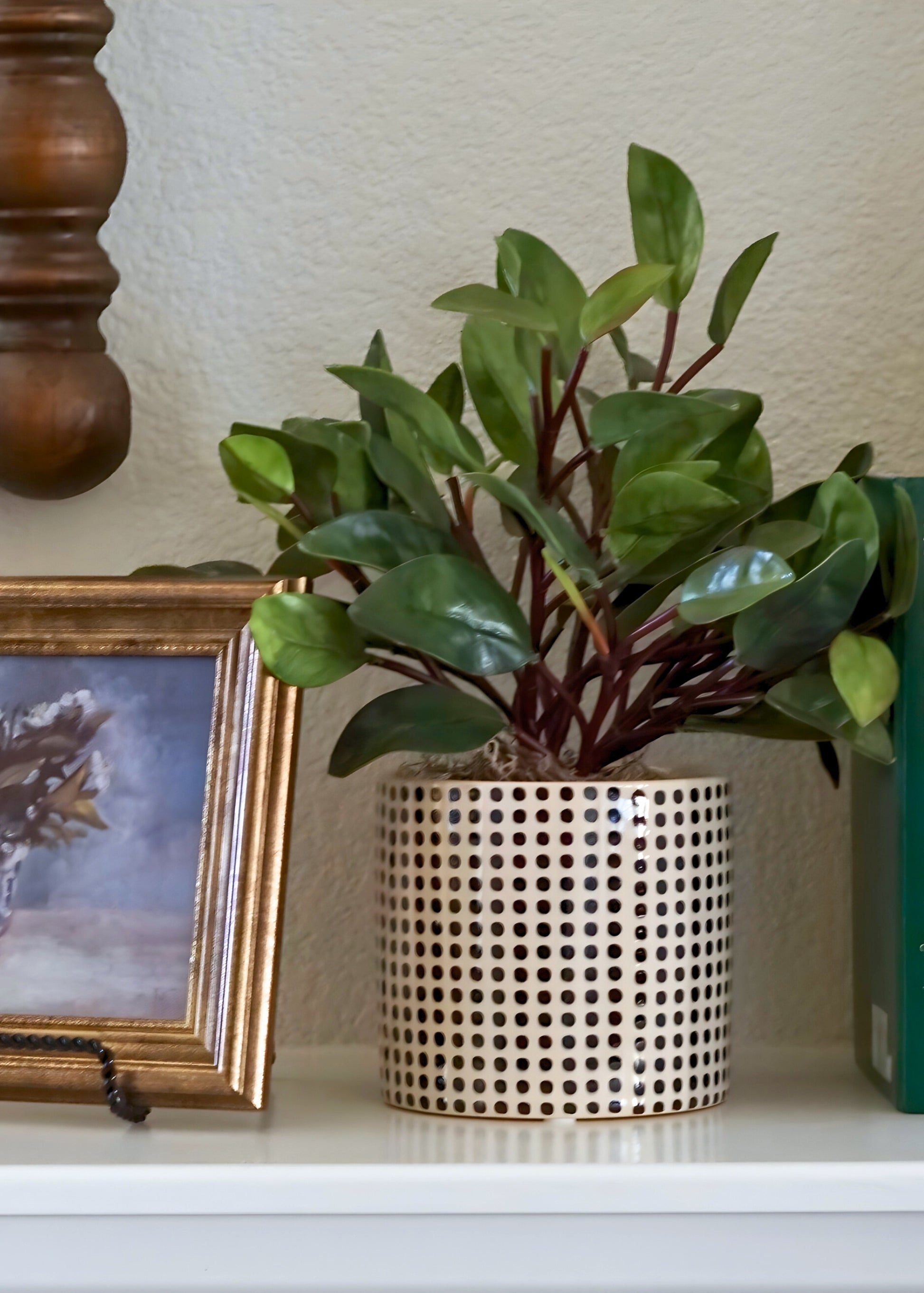 artificial peperomia plant