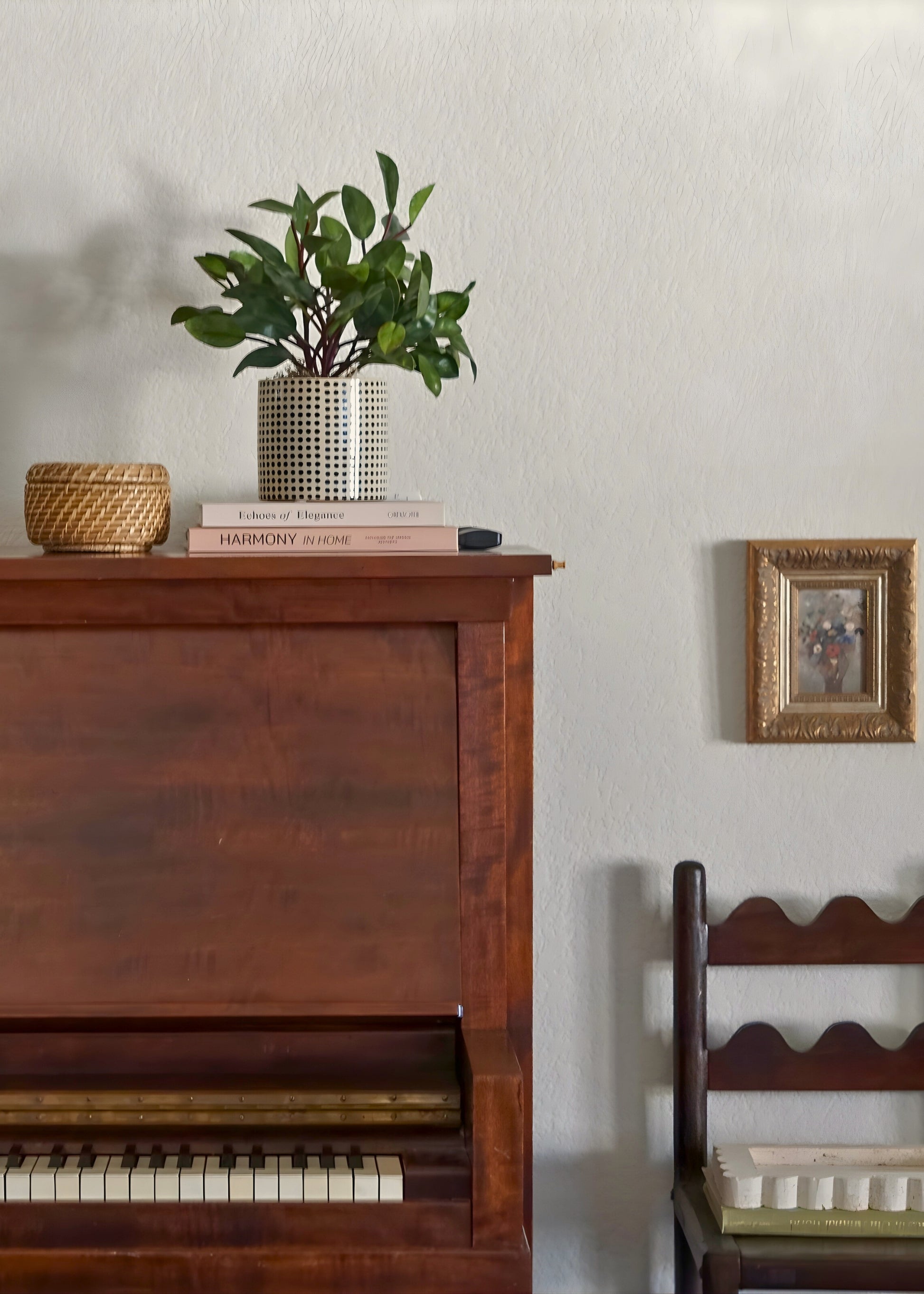 artificial peperomia house plant on piano