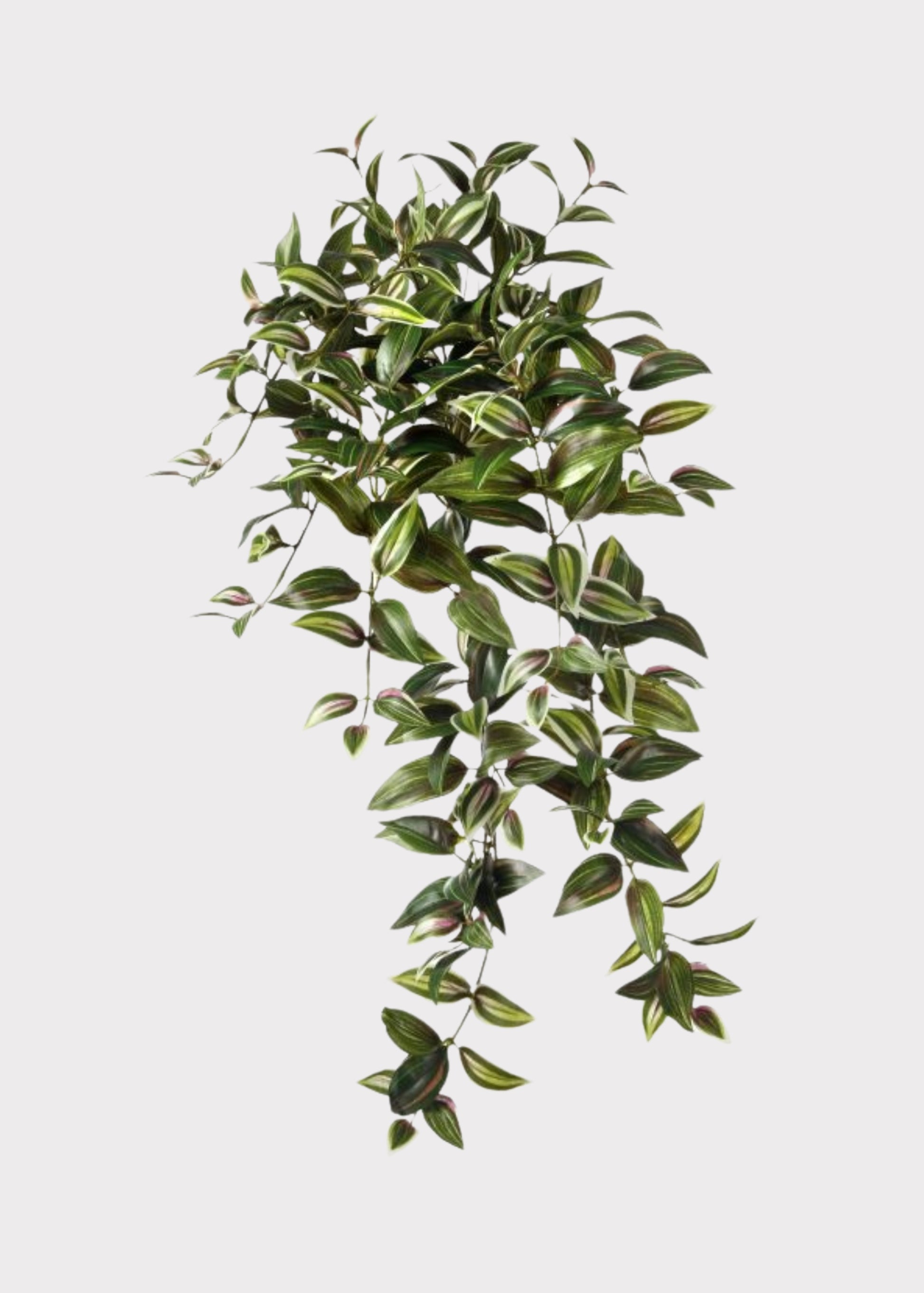 Fake Tradescantia Hanging Plant