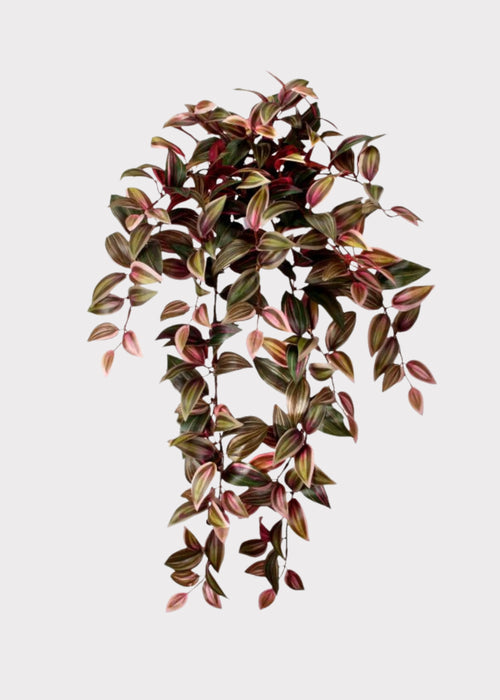 Red and Green Artificial Tradescantia Hanging Plant 