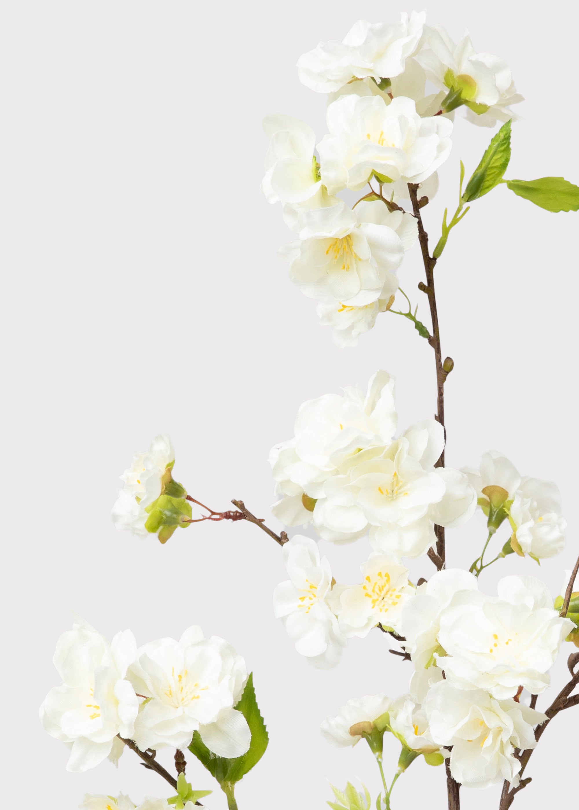 Cherry Blossom Pick in Cream | Artificial Spring Flowers | Afloral