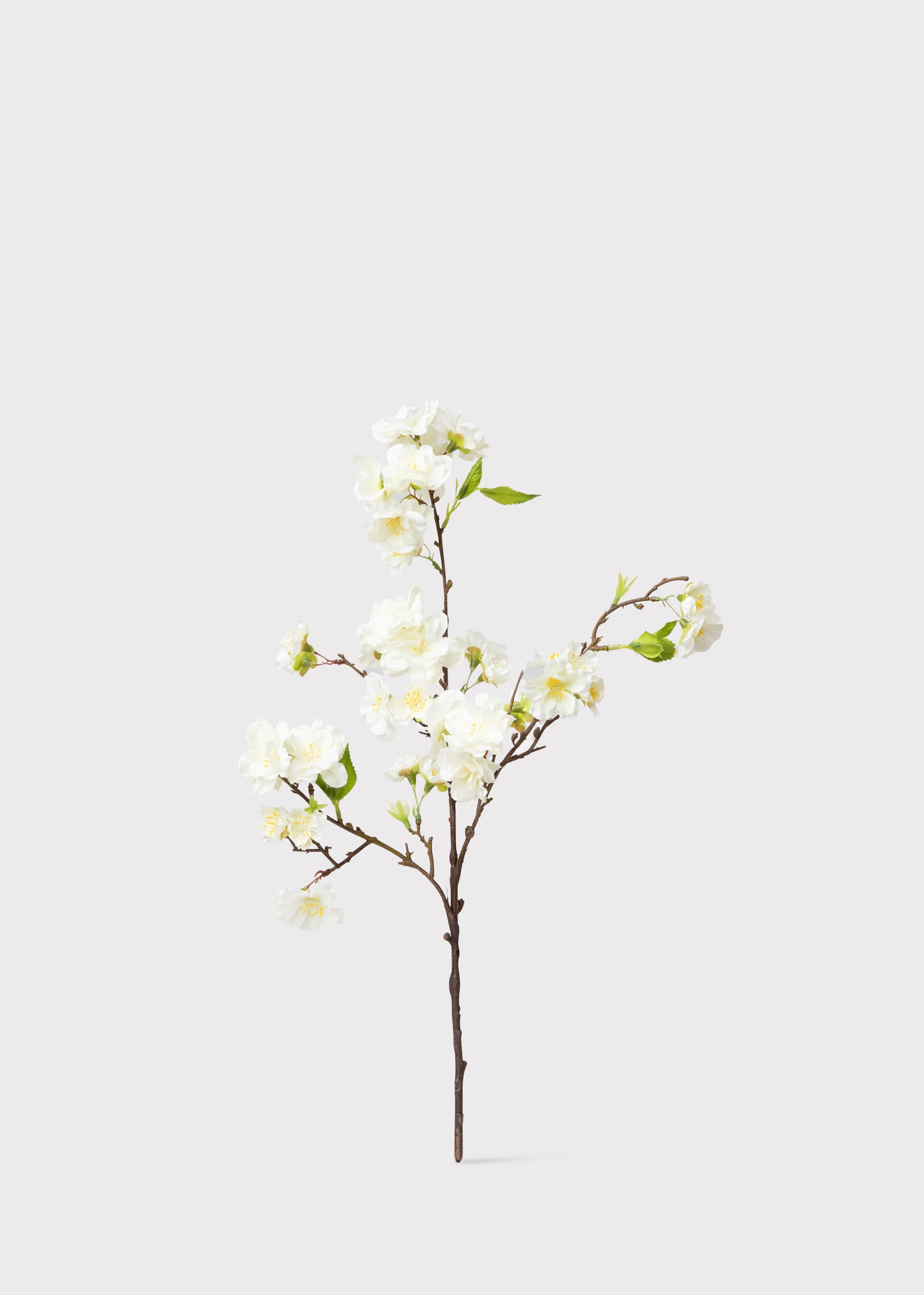 Cherry Blossom Pick in Cream | Artificial Spring Flowers | Afloral