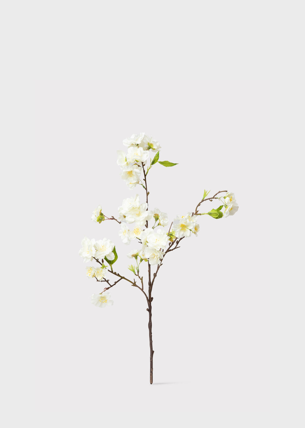 cream white faux cherry blossom