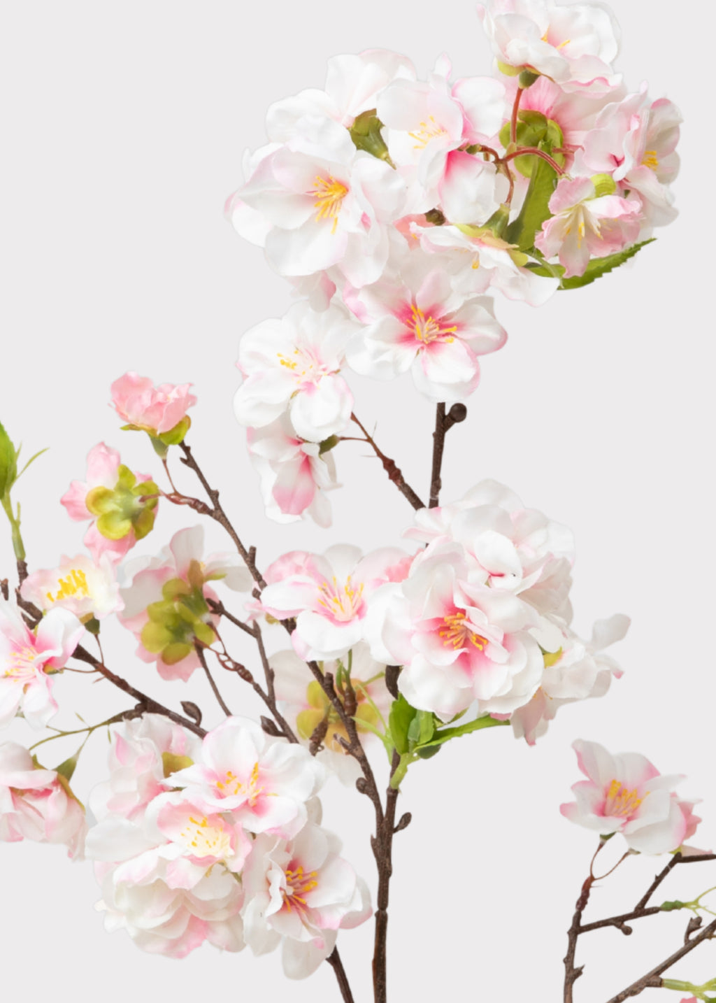 Close-up of Artificial Pink Cherry Blossoms