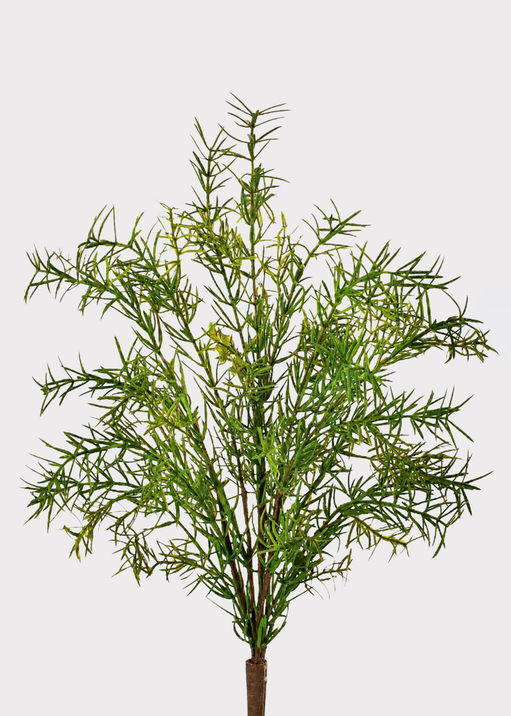 UV Treated Outdoor Artificial Sprengeri Fern Plant