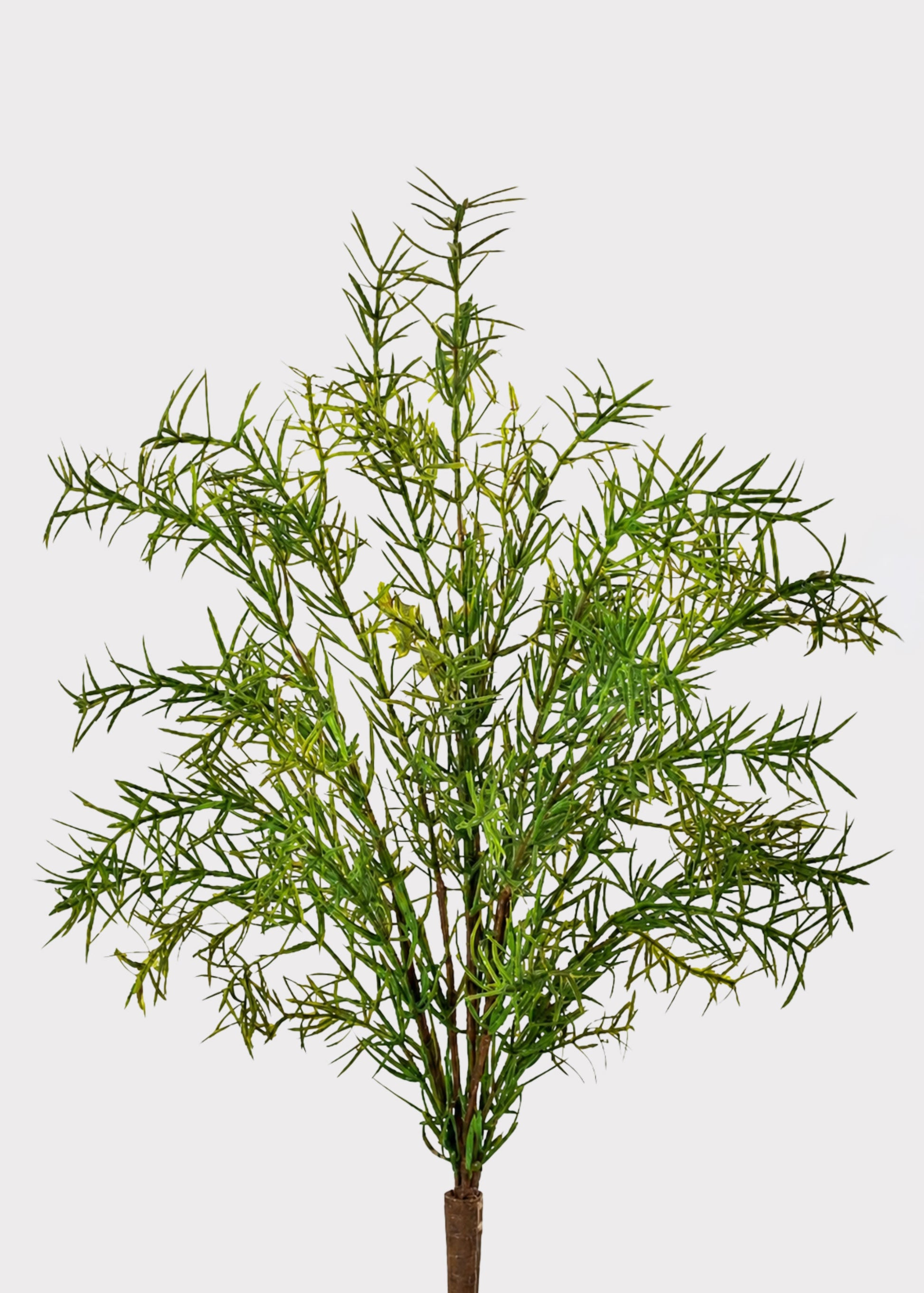 UV Treated Outdoor Artificial Sprengeri Fern Plant