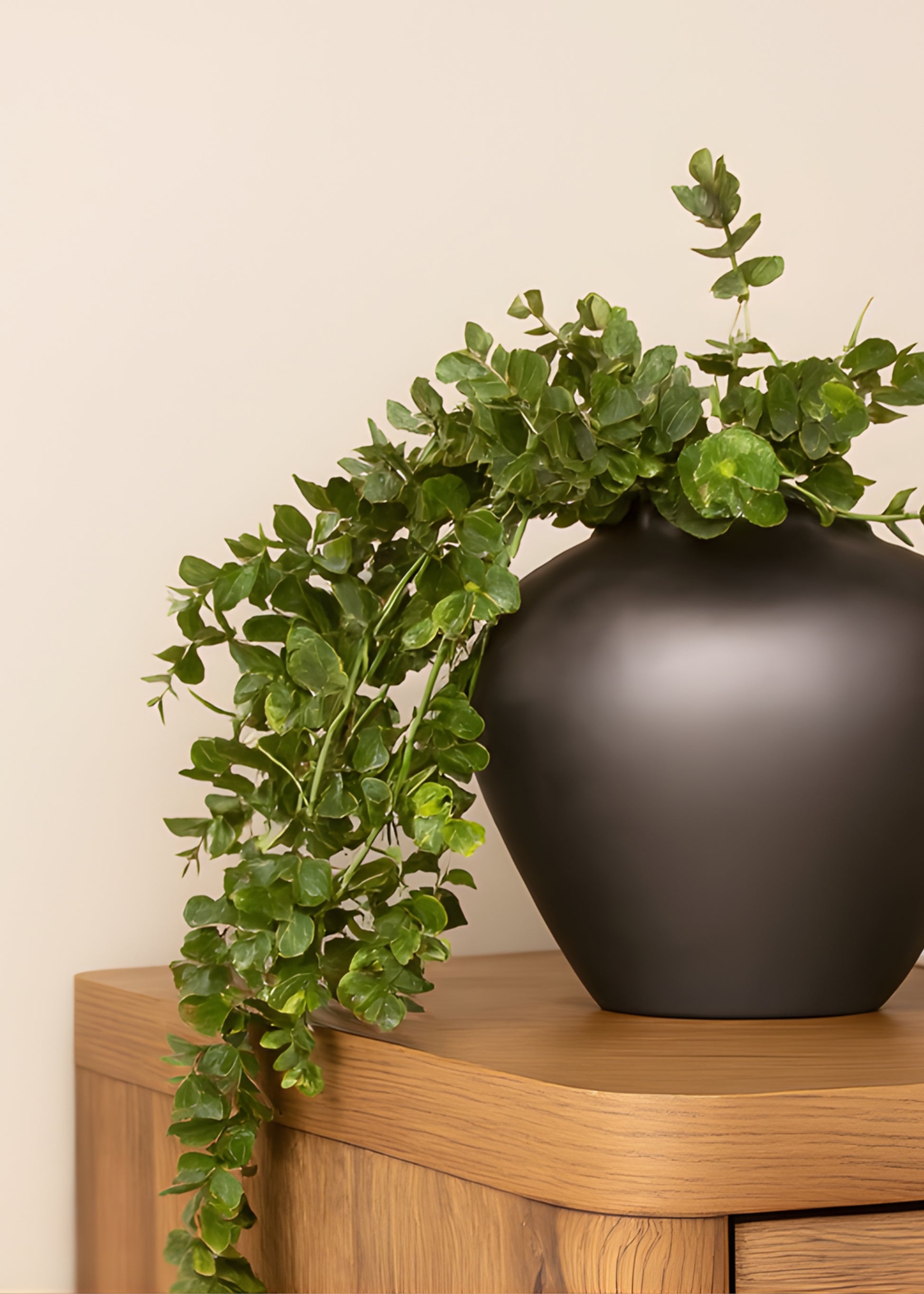 Close-up of faux eucalyptus hanging in vase