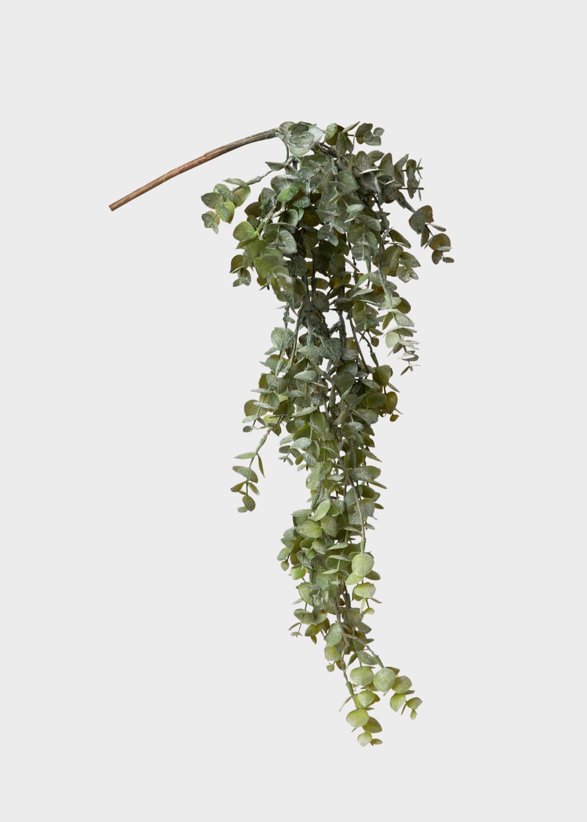 Faux Hanging Eucalyptus Bush 