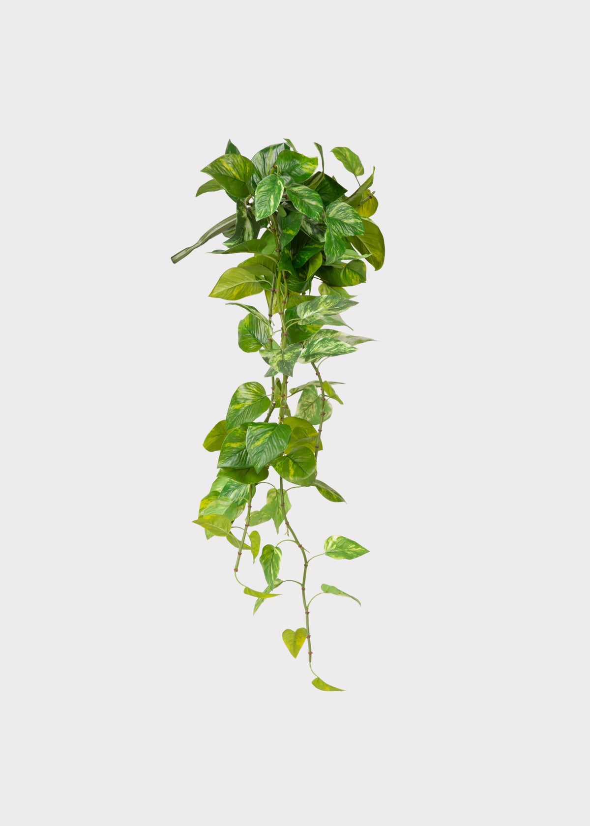 Fake Natural Touch Pothos Hanging Plant 