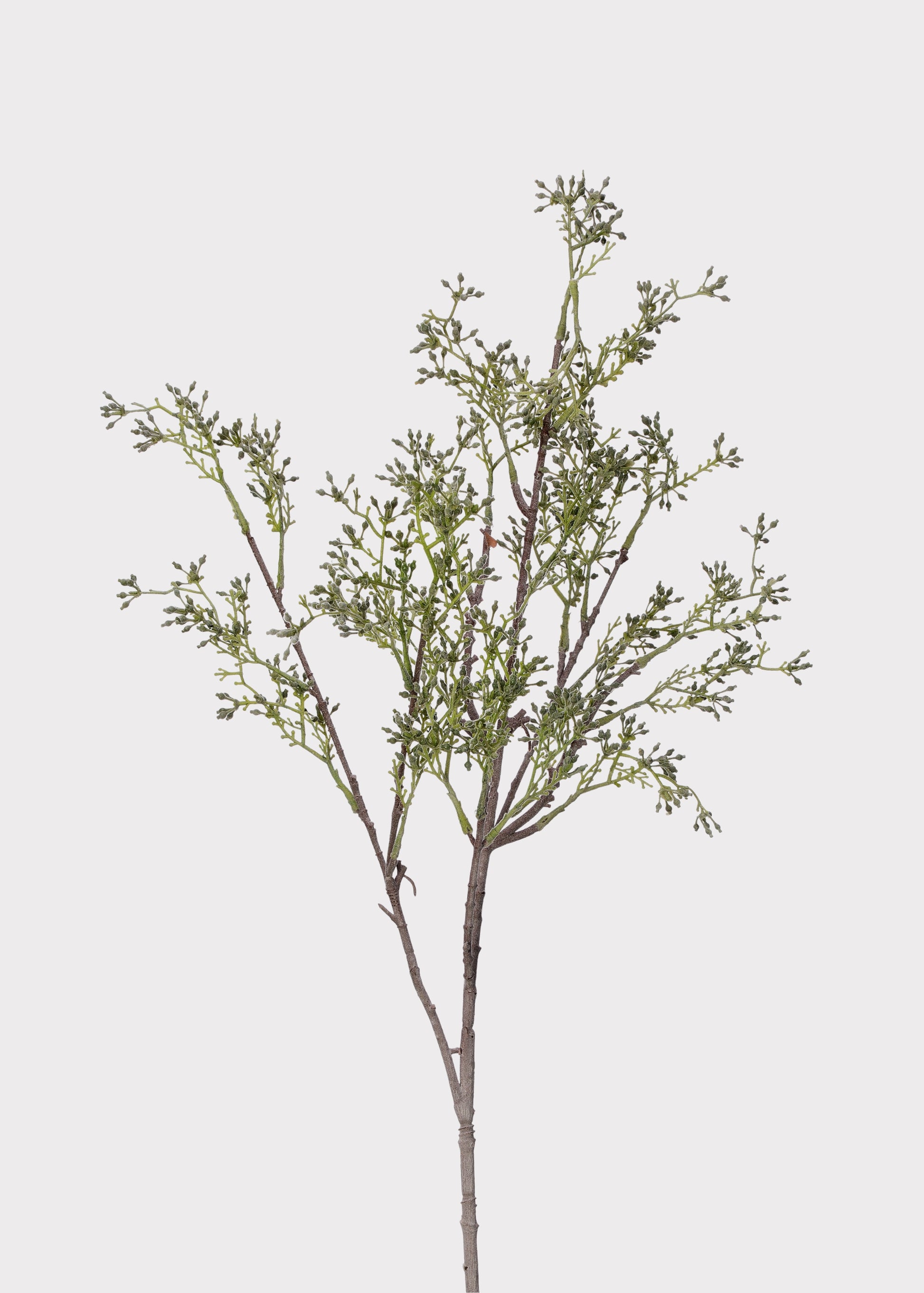 Artificial Eucalyptus Seeded Stem at Afloral