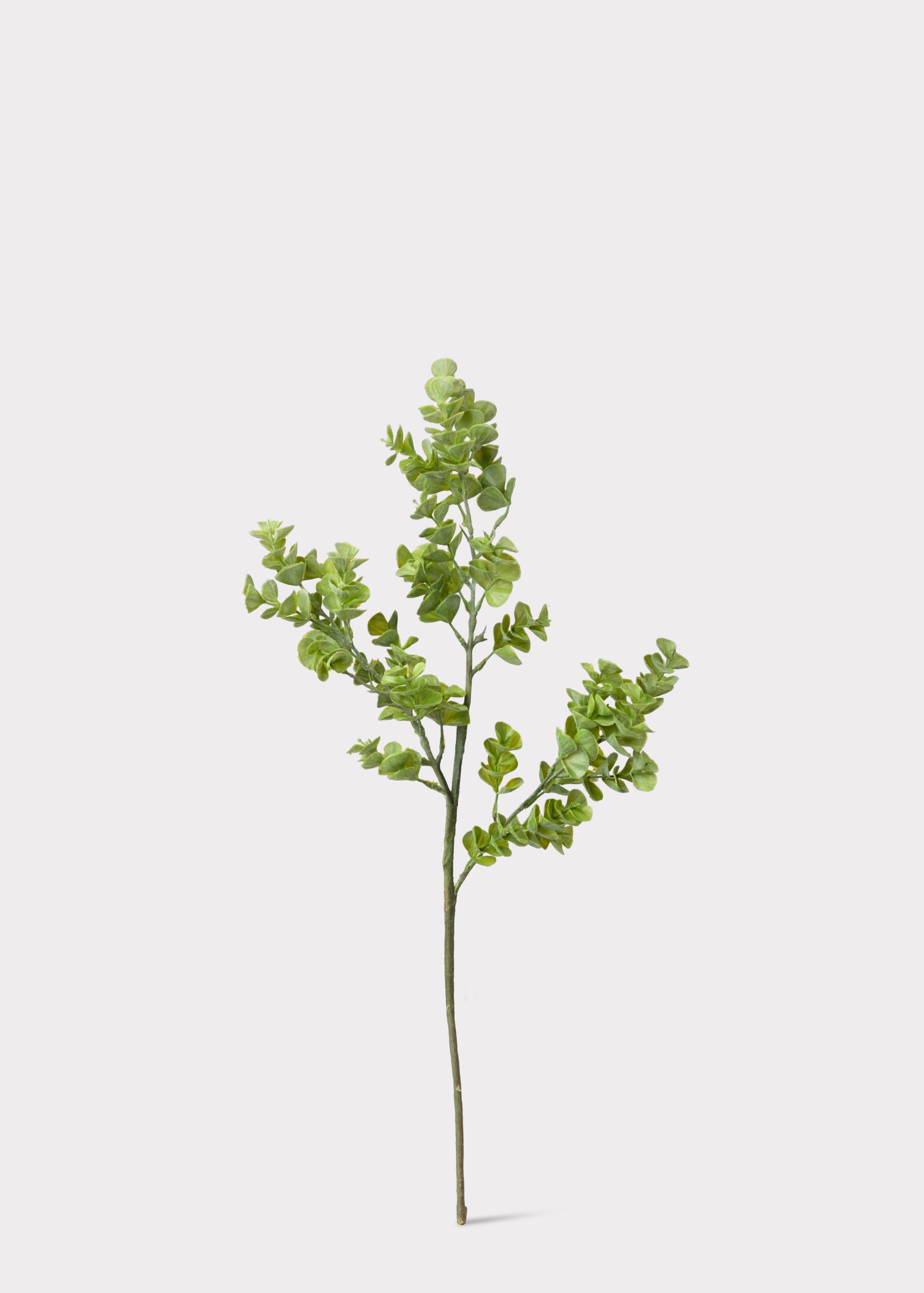 Artificial Real Touch Eucalyptus Leaf Branch