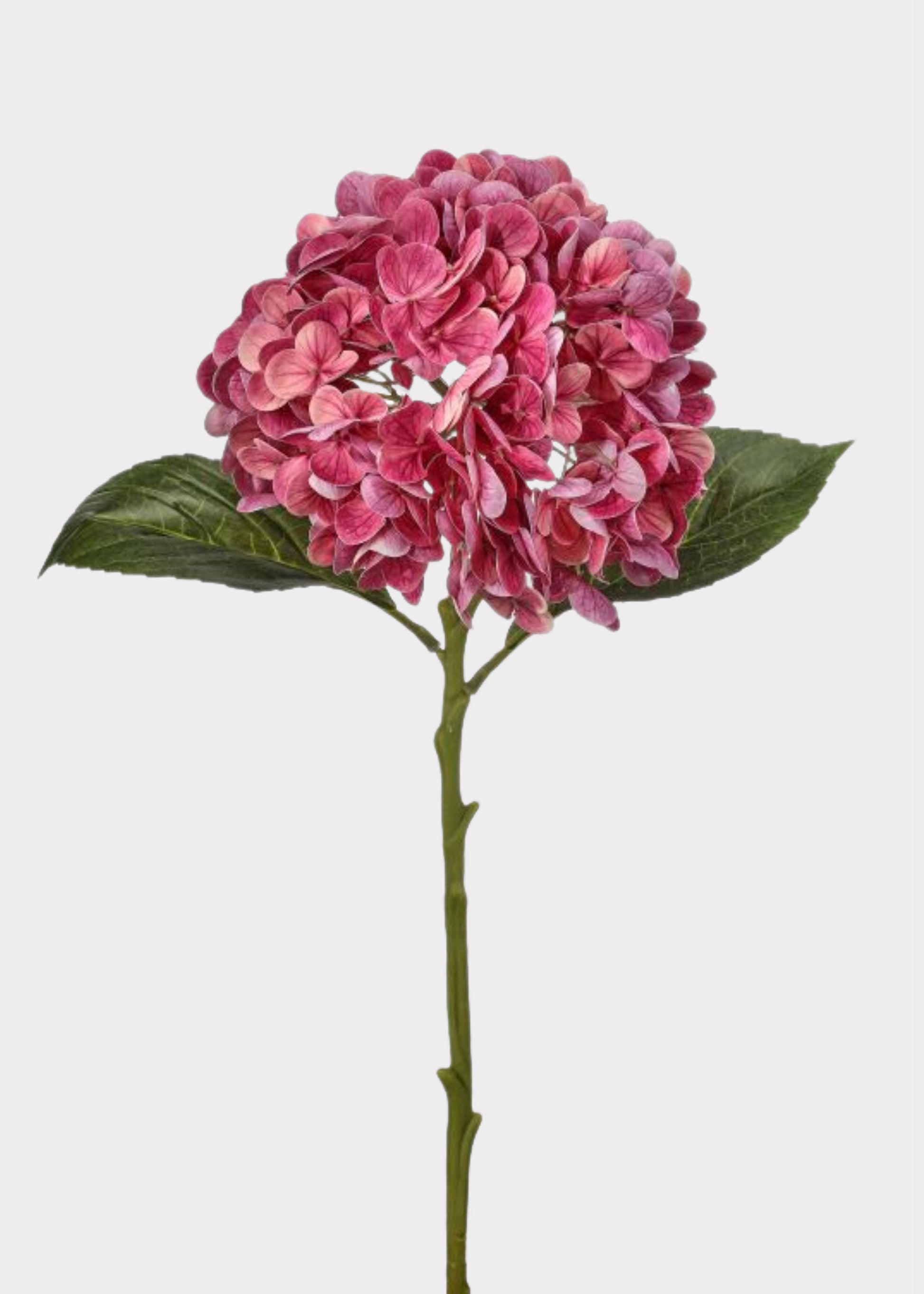 Fuchsia Pink Real Touch Hydrangea