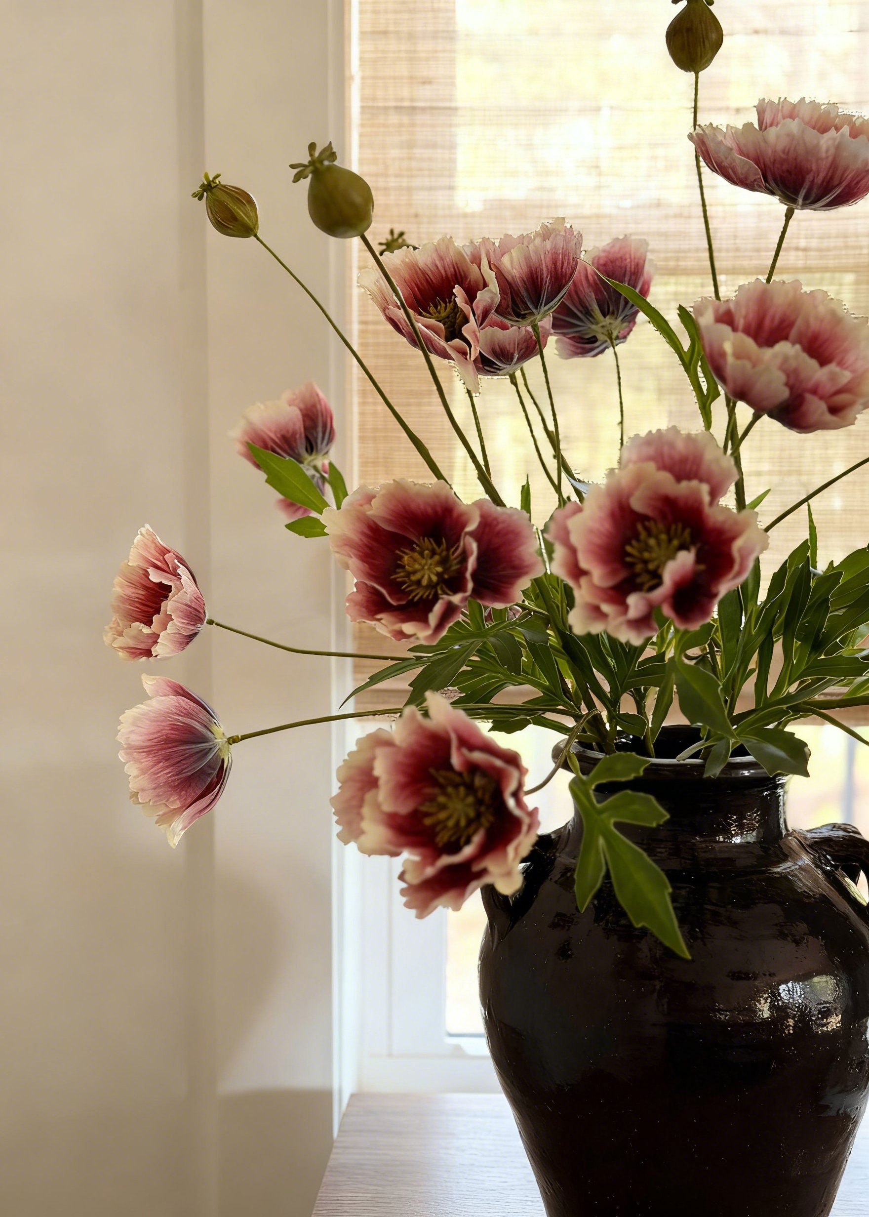 Dark Pink Cream Poppy Flowers Arranged in a Vase