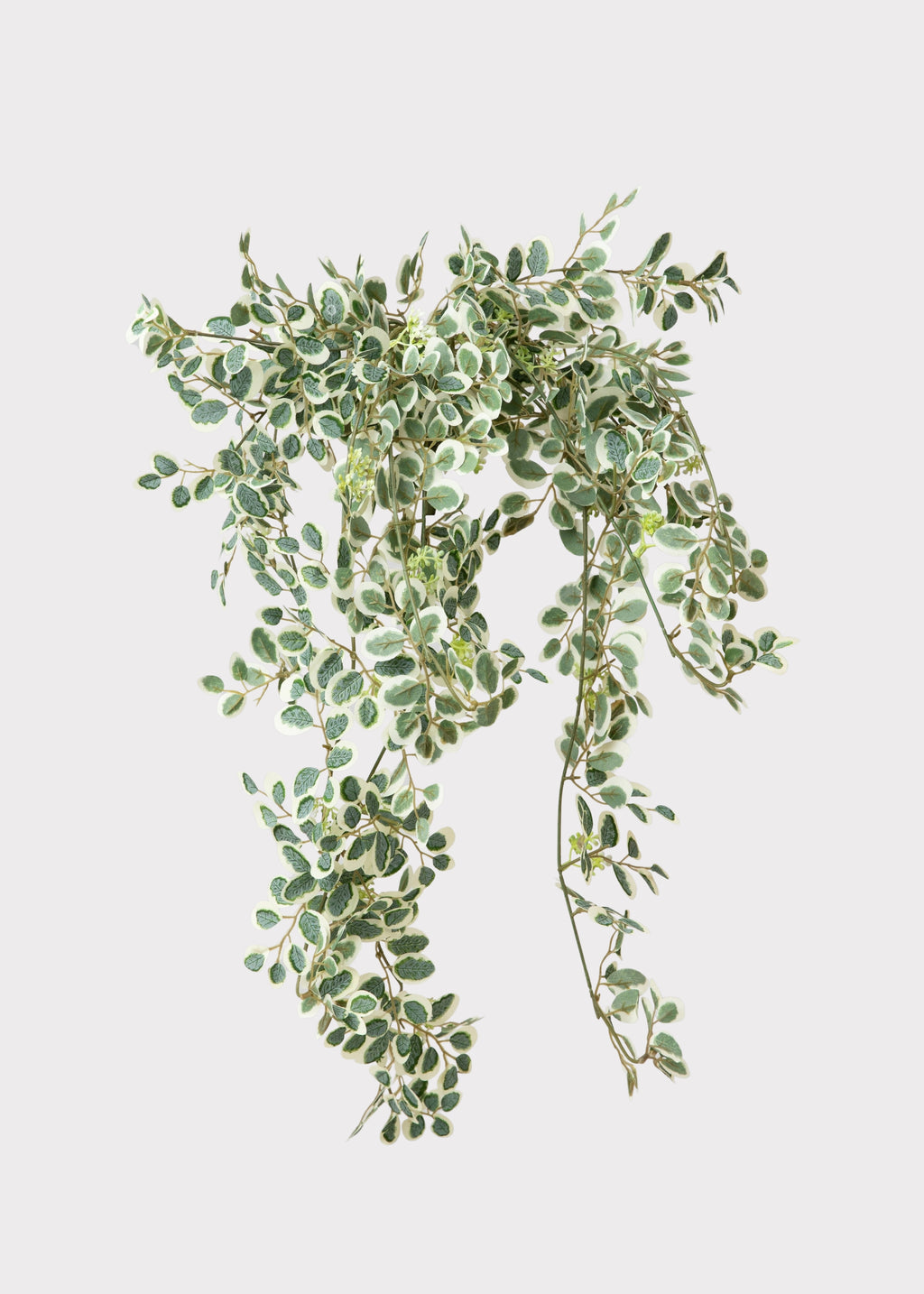 Fake Button Leaf Hanging Plant 