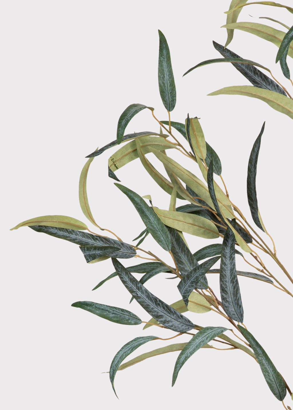 Tall Deluxe Willow Eucalyptus Branch