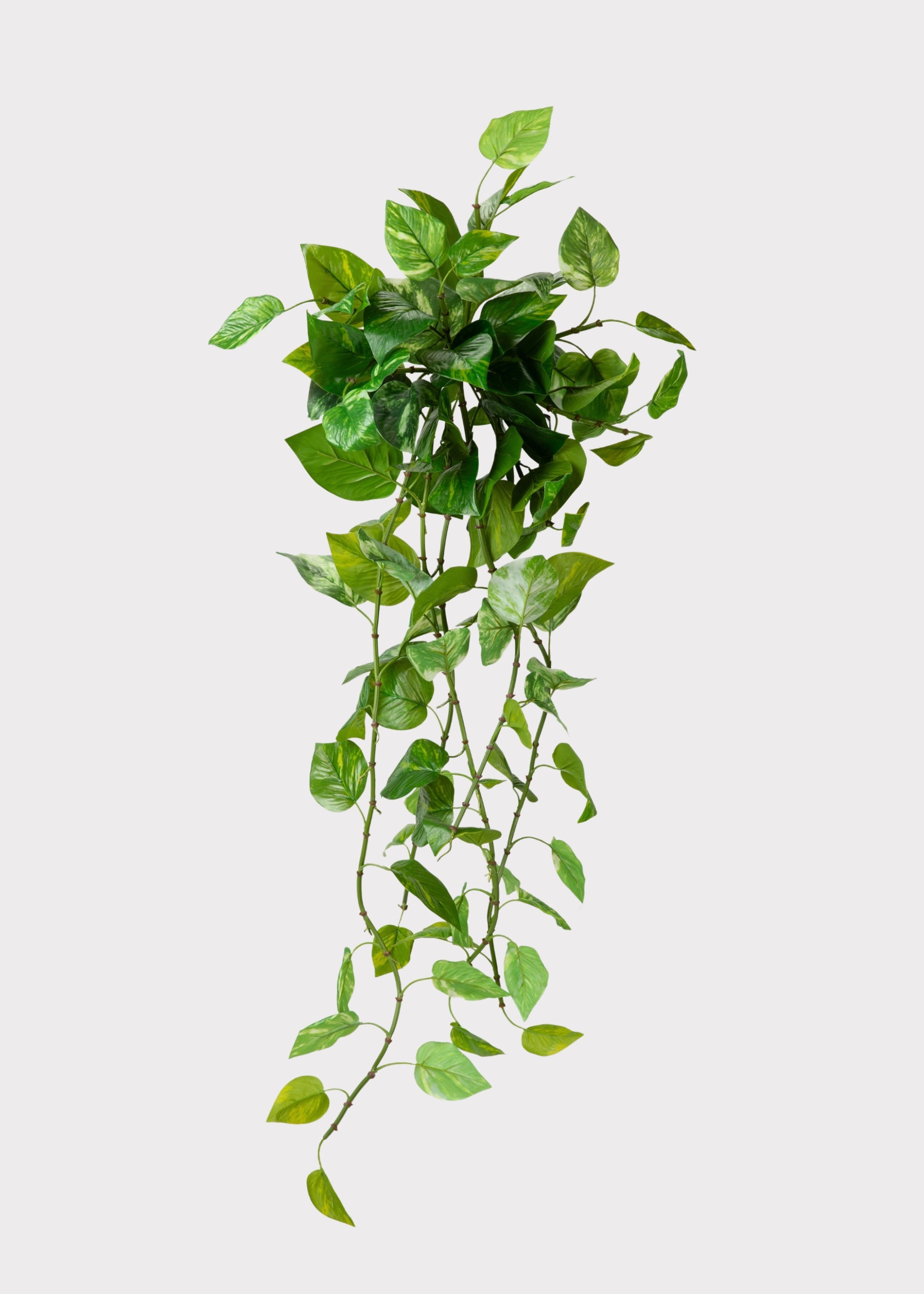 UV Treated Pothos Indoor/Outdoor Natural Touch Hanging Plant 