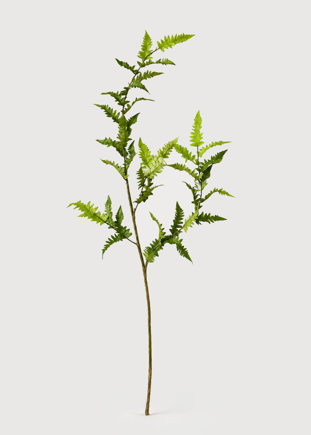 Tall Artificial Wild Fern Leaf Greenery Branch 