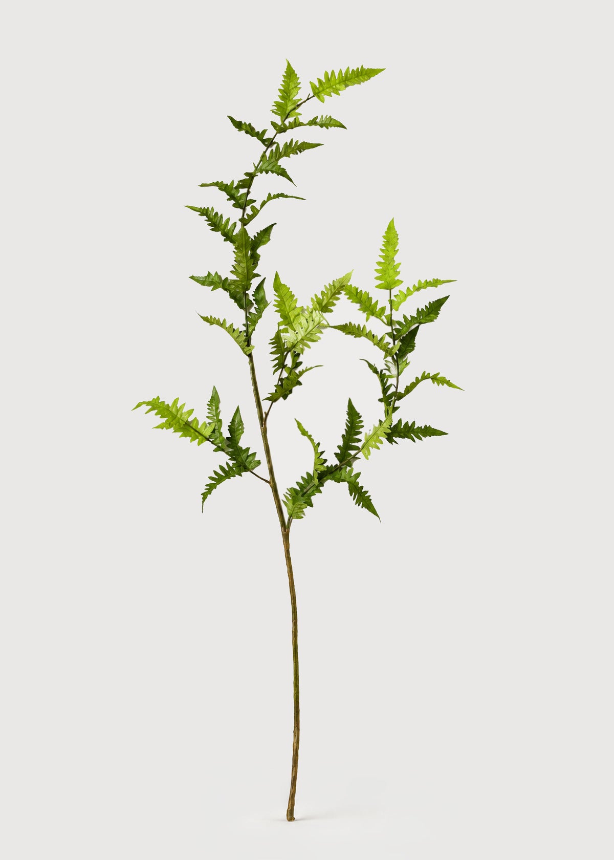 Tall Artificial Wild Fern Leaf Greenery Branch 