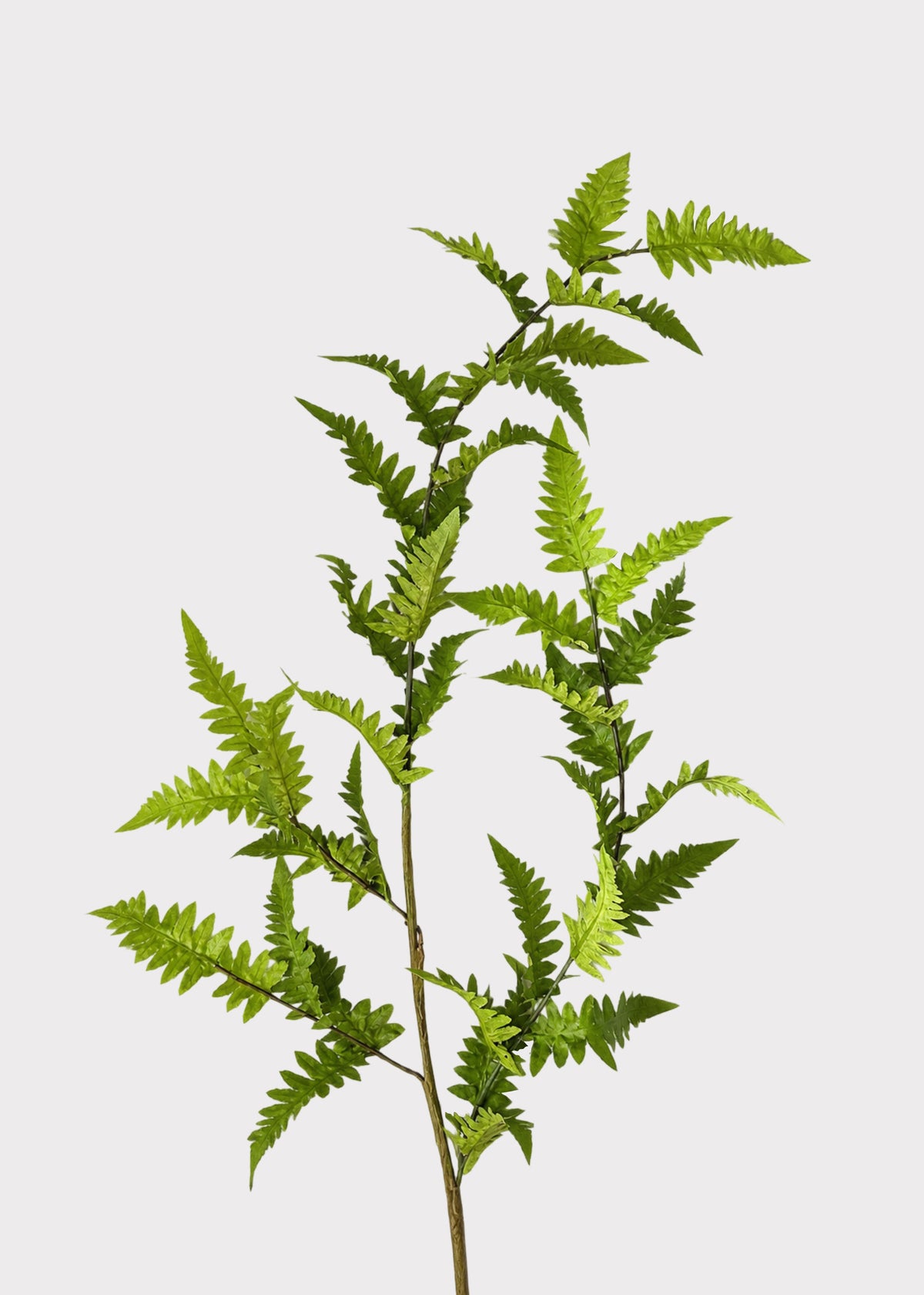 Faux Fern Branch 
