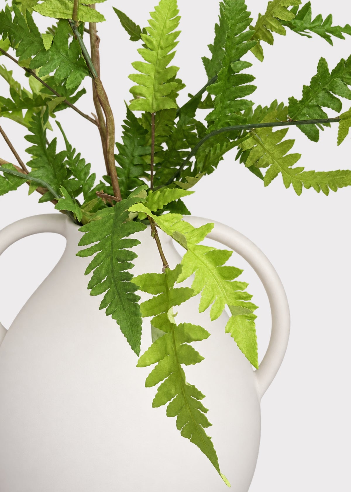 Close-up of a Wild Fern Arrangement