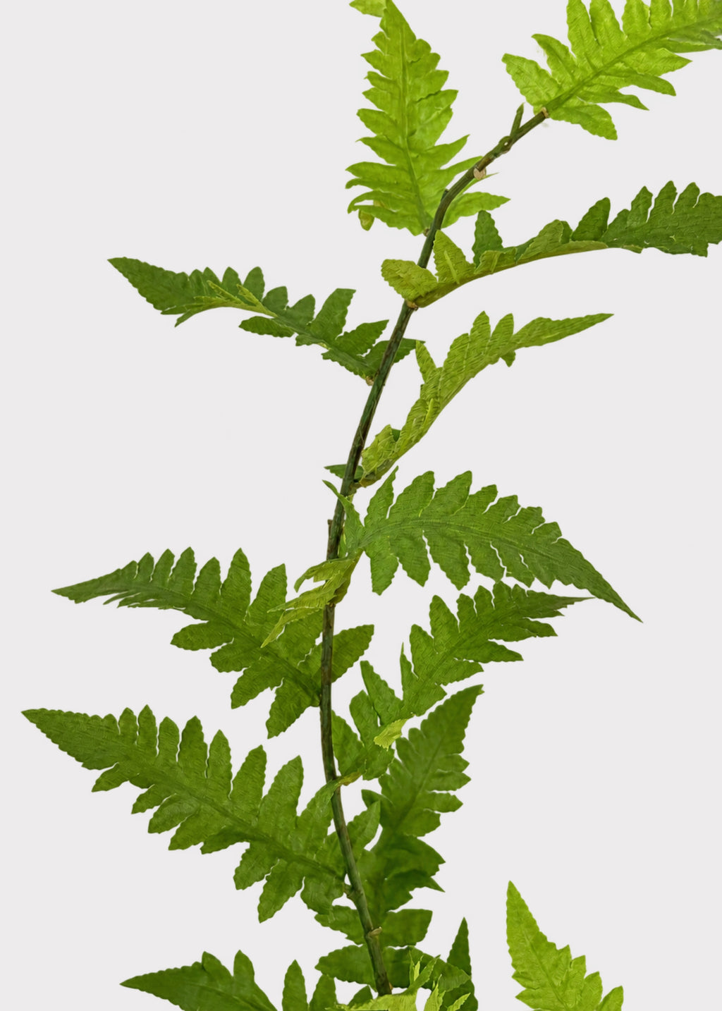 Close-up of the Tall Artificial Wild Fern Leaf Greenery Branch