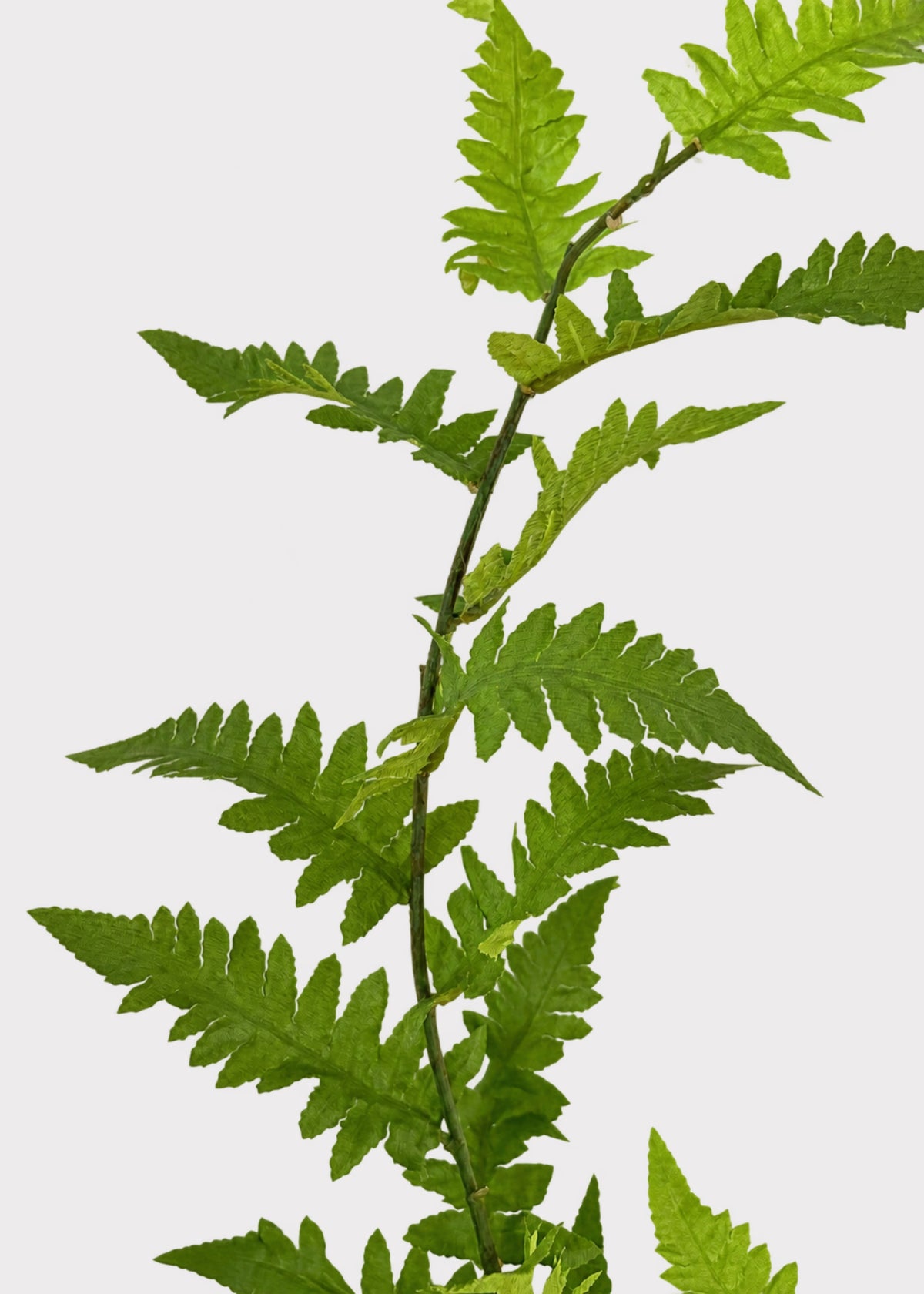 Close-up of the Tall Artificial Wild Fern Leaf Greenery Branch