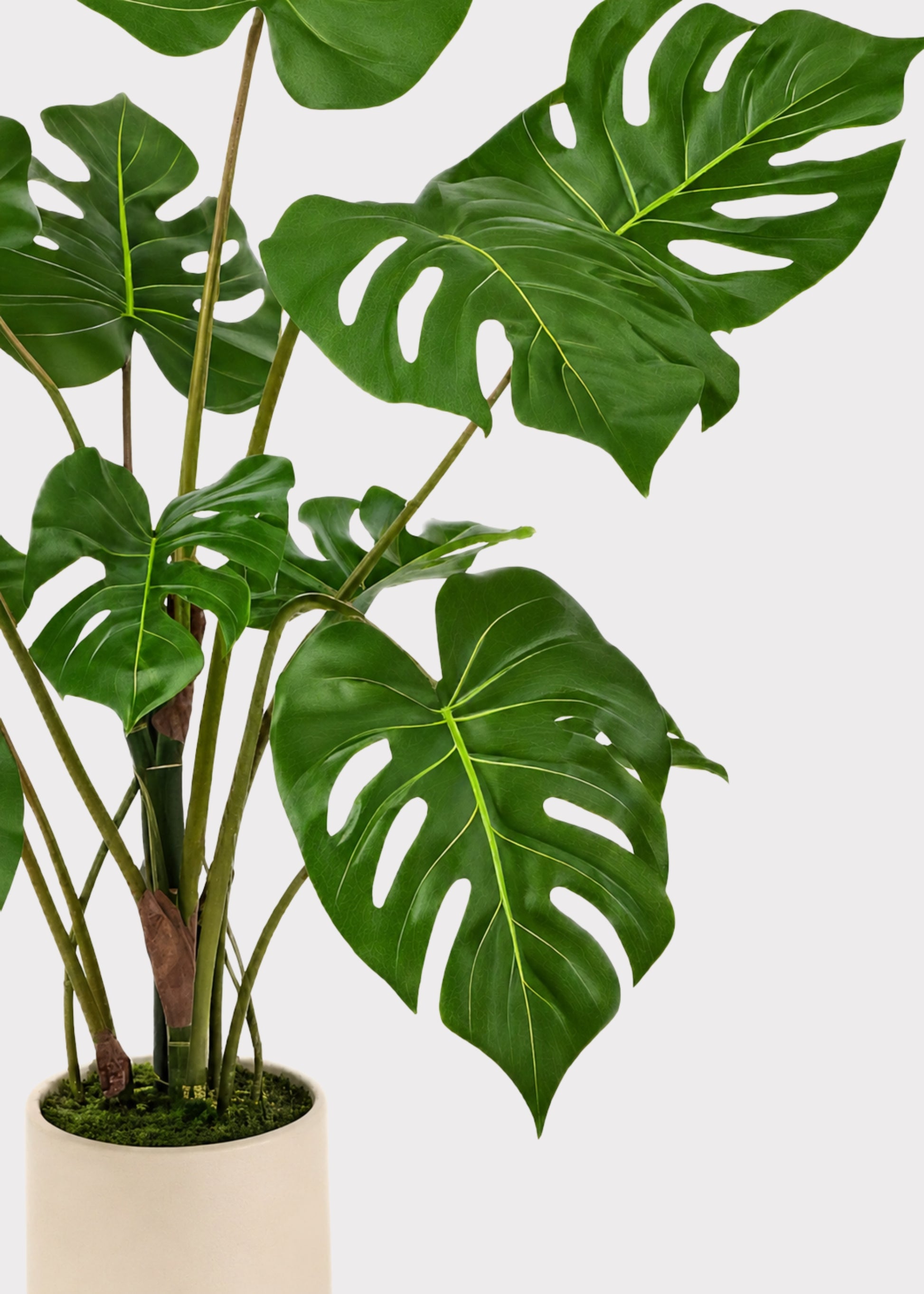 fake monstera plant